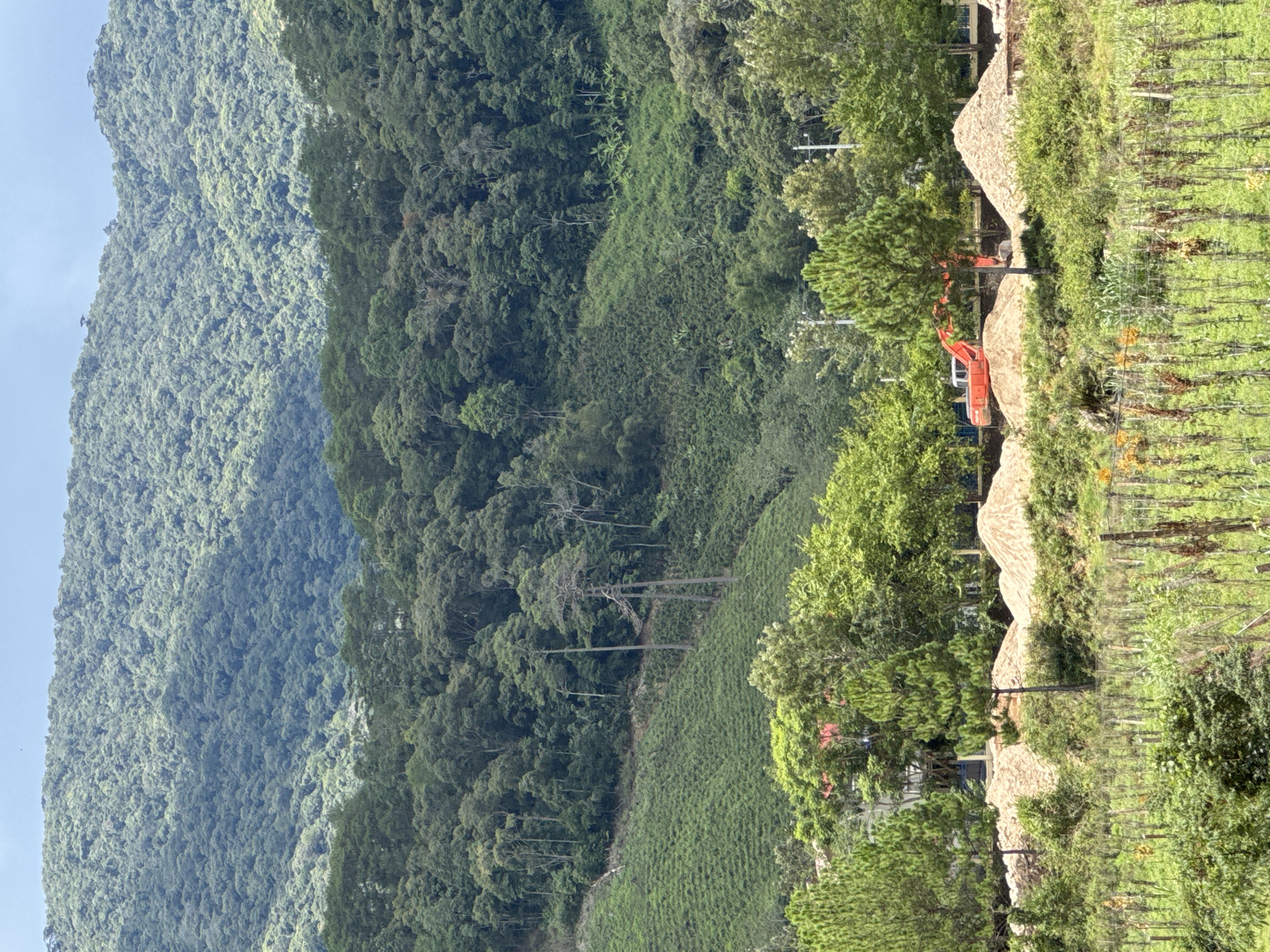 This image depicts a construction scene in a mountainous, rural area, likely Klong Klanh, Vietnam. The foreground shows a field with a fence line, some vegetation, and a few scattered orange flowers. Behind this, a row of large piles of light brown material, possibly sand or soil, are present. An orange excavator is positioned among these piles, suggesting ongoing construction or landscaping work. Several pine trees are scattered throughout this area. In the middle ground, lush green terraced fields ascend a hillside, bordered by a dense forest. The background is dominated by a large, tree-covered mountain range under a partly cloudy sky. There are no people visible in the image.