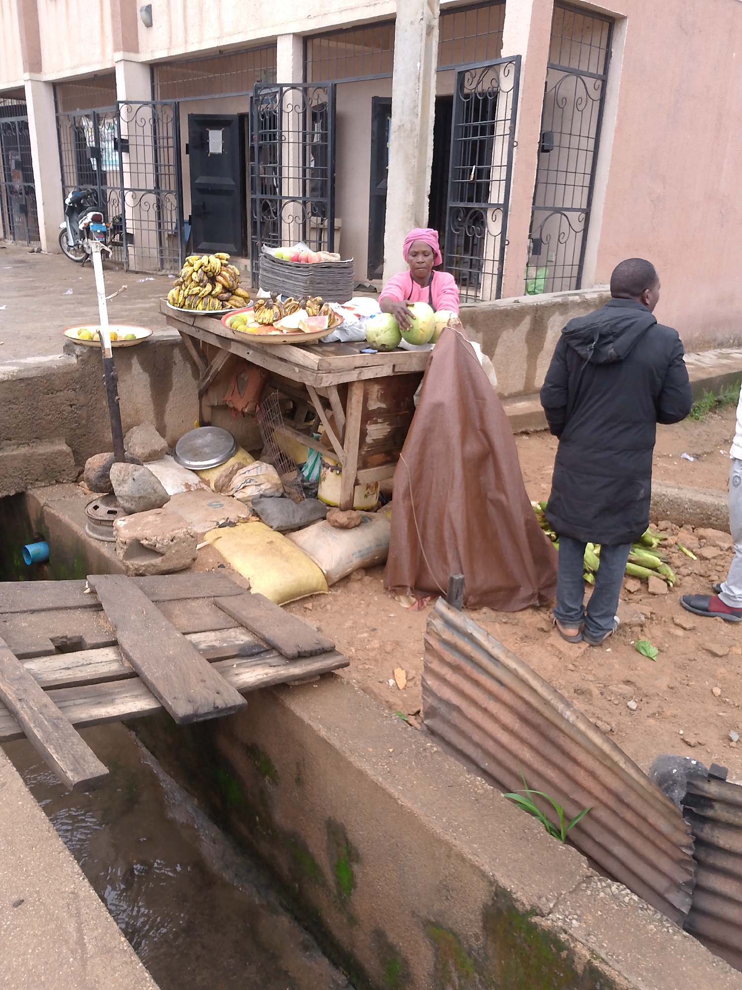 This vertical image depicts an outdoor market scene in Bukuru, Nigeria, featuring a fruit vendor and customers. In the foreground, a wide concrete drainage channel, partially filled with water and showing some algae growth, runs across the frame. Rustic wooden planks form a makeshift bridge over this ditch on the left. The ground is unpaved, consisting of dirt and small rocks.
At the center, a wooden stall serves as a display for a variety of fresh produce. Large bunches of yellow bananas are prominent, arranged on circular platters. Green guavas and larger green fruits, possibly watermelons or gourds, are also laid out for sale. Beneath the stand, various items like a silver scale, bags (some with faded letters, e.g., 'S'), and rocks are stored. A brown tarp is draped on the ground next to the stall.
Behind the stall, a woman in a pink top and headscarf is seated, attending to her merchandise. To her right, a man wearing a dark, possibly padded, jacket stands with his back to the camera, looking towards the right side of the frame. Green cobs, resembling corn, are scattered on the ground near his feet. A leg of another person is visible on the far right.
In the background, a light-colored building with several entrances is visible. These entrances are secured by dark, ornate metal gates. A white motorcycle is parked near one of these gates on the left side. The scene conveys a bustling, everyday commercial environment, likely during daytime under diffused natural light, as there are no strong shadows. The setting is characterized by practical, informal infrastructure, including the open drainage system and the improvised market stall. No clear, legible text is visible on any signs or products.