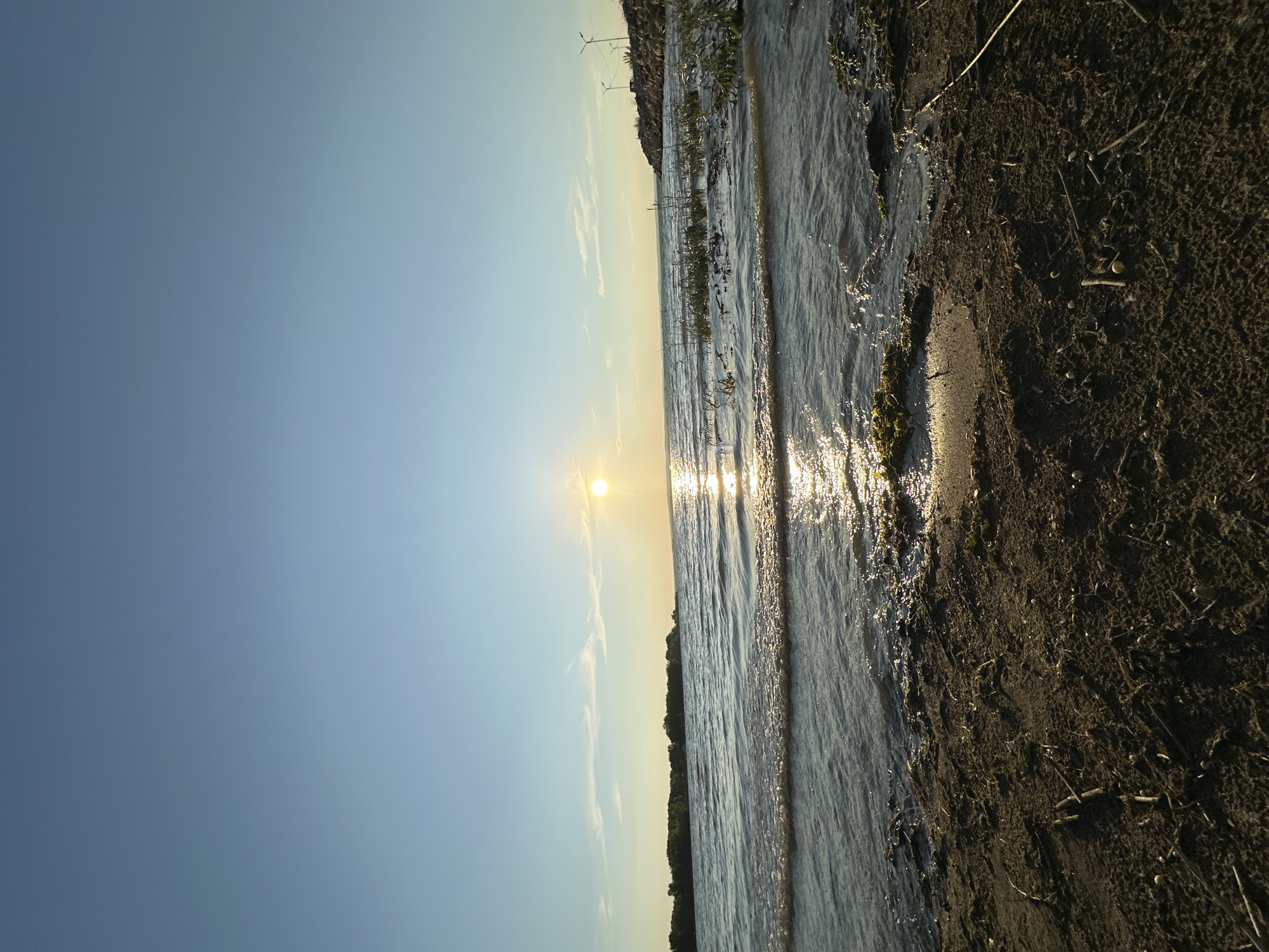 This is a landscape photograph taken at sunset by a body of water. The sky is a clear, pale blue with a few wispy clouds, transitioning to a lighter hue near the horizon. The sun, a bright yellow orb, is low in the sky, casting a shimmering golden reflection on the rippling water. The water itself is a deep blue-grey, with small waves lapping at the shore.
The foreground is a sandy beach covered in dark, wet sand and scattered debris, including small twigs and what appear to be dried plant matter. In the middle ground, the water meets the shore, with some aquatic plants visible just below the surface. Further out, a line of trees forms a dark silhouette against the horizon. On the right side of the frame, a rocky embankment rises from the water, topped with a few streetlights.
The photograph appears to have been taken from a low angle, looking out towards the water and the sunset. There are no people visible in the image. The overall atmosphere is peaceful and serene, indicative of a natural environment at the end of the day. The location is identified as the embankment of the Angara River in the city of Energetik, Russia.
