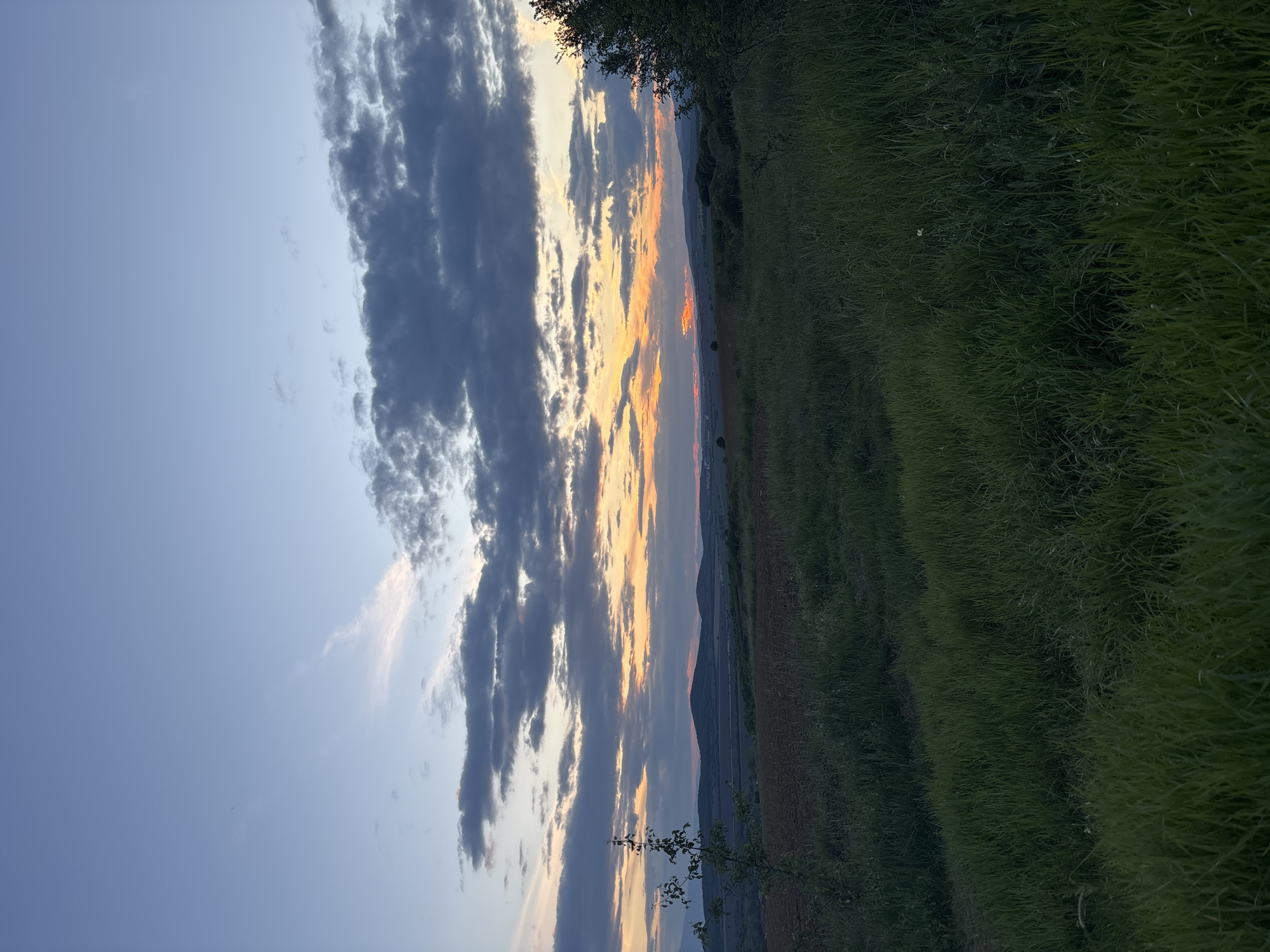 The image shows a landscape scene in Belopoptsi, Bulgaria at dusk. The sky occupies the left half, displaying a gradient from light blue on the left to a vibrant mix of orange, yellow, and grey clouds near the horizon. Tall, dark clouds extend vertically. The right half of the image depicts a field with varying shades of green and brown, likely indicating different types of vegetation or stages of growth. A tree is visible along the edge between the sky and the field. A distant mountain range is visible between the orange sky and the field.