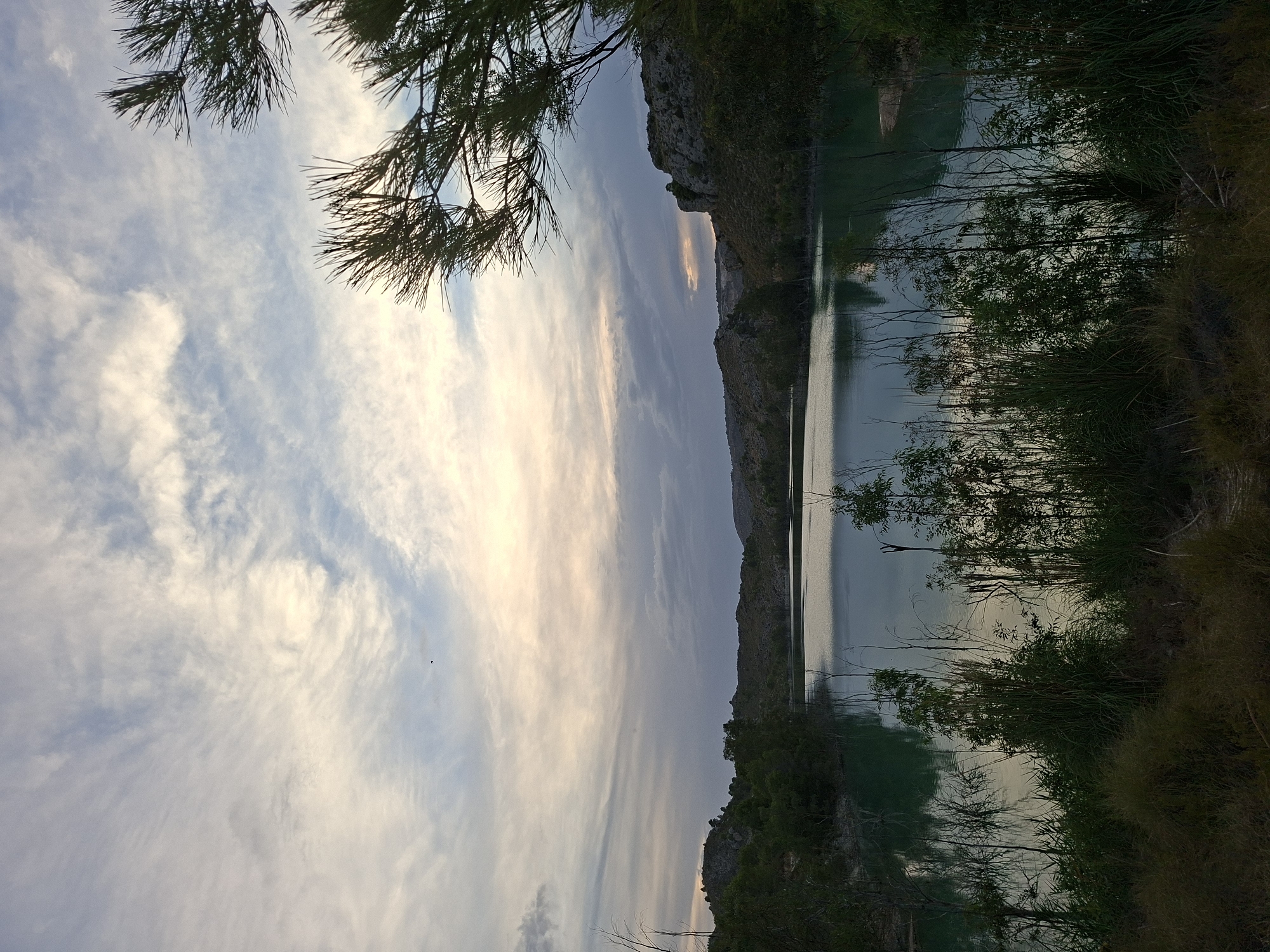 The image depicts a serene landscape scene, likely at dusk, in the vicinity of the city of Mula, Spain. A calm body of water, possibly a reservoir or lake, dominates the midground, reflecting the soft hues of the sky. The water appears to be a deep teal or turquoise color. The shoreline is lined with dense green vegetation, including tall grasses and trees, with some bare, thin branches reaching towards the water. In the background, rolling hills covered with sparse vegetation and rocky outcrops recede into the distance. The sky is a prominent feature, filled with wispy, streaky clouds painted in shades of pale blue, white, and soft yellow, suggesting the fading light of sunset or sunrise. A few dark, silhouetted tree branches are visible in the foreground and on the right side of the image, framing the view. There are no people or animals visible in the scene. The overall atmosphere is peaceful and natural, characteristic of rural or semi-natural environments surrounding Mula.