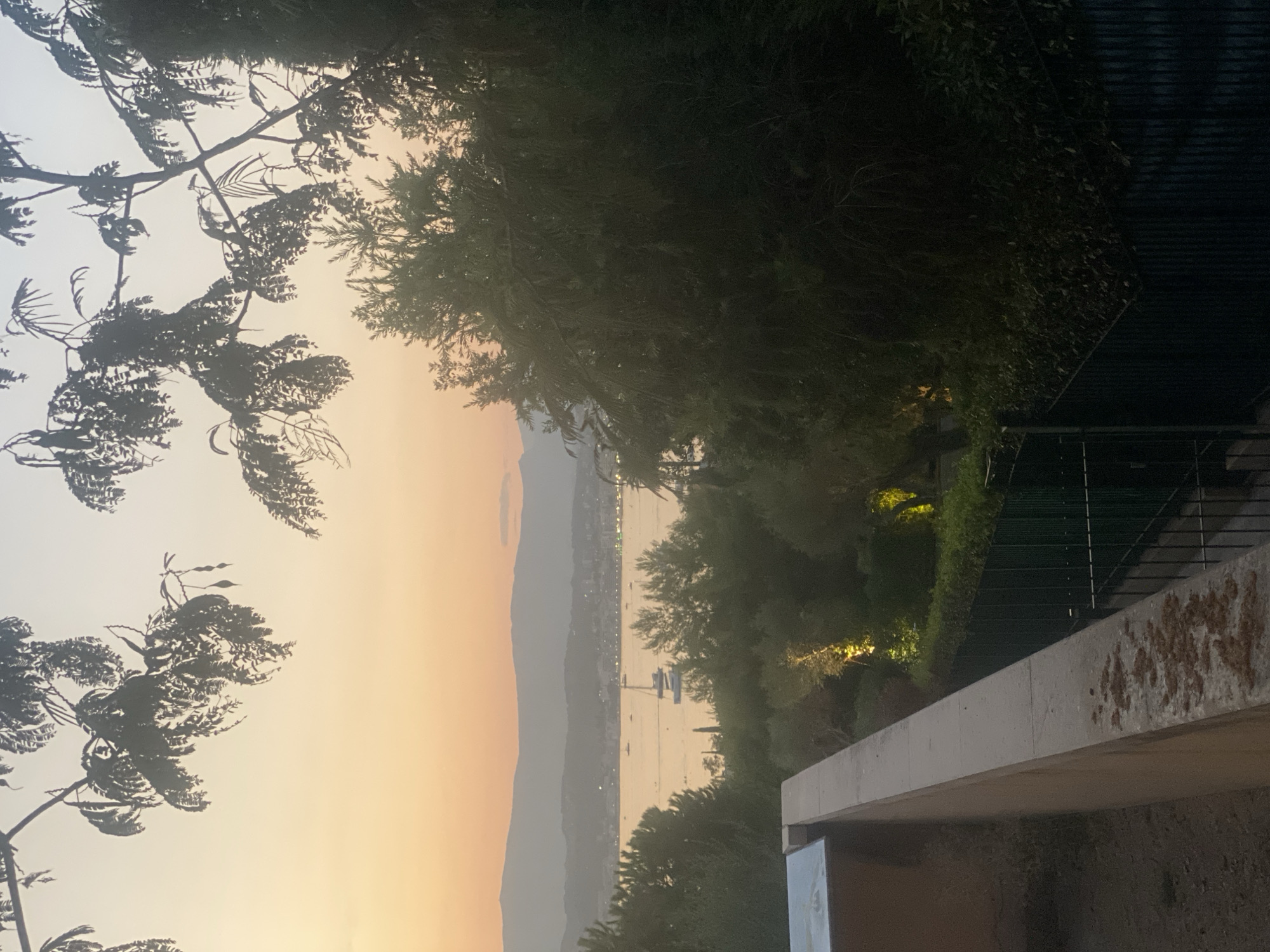 The image depicts a tranquil sunset scene over the bay of Antibes, France. In the foreground, a concrete wall and railing overlook a lush green slope. Beyond the slope, the calm waters of the bay reflect the warm hues of the setting sun. Several sailboats are visible in the distance, anchored or sailing gently. The coastline of Antibes is dotted with buildings, and hazy mountains form the backdrop. The sky transitions from a soft orange and pink at the horizon to a pale blue overhead, with silhouettes of trees and branches framing the upper portion of the image. Artificial lighting illuminates some of the vegetation on the hillside, creating warm pools of light amidst the growing dusk. The scene conveys a sense of peaceful serenity.