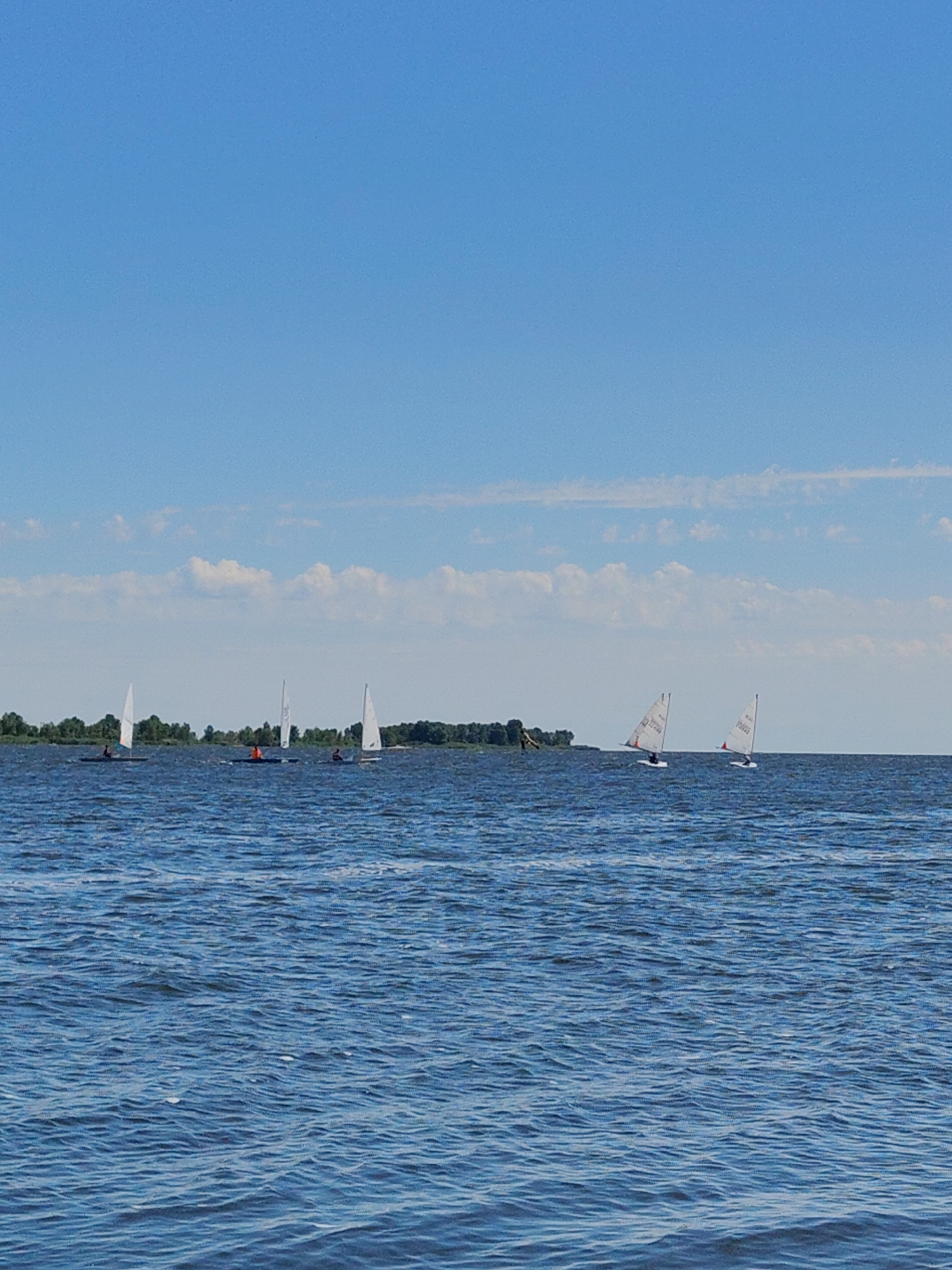The image depicts a wide, calm body of water, likely a lake or river, under a bright blue sky with scattered white clouds. A line of green trees forms a distant treeline along the horizon. On the water, several small sailboats are visible. Some of the sailboats have one or two individuals onboard, identifiable by their clothing and orange life vests. The sailboats are white with triangular sails and appear to be participating in a race or leisurely sailing activity. The water surface is rippled, indicating a gentle breeze. The overall scene is one of a serene summer day on the water. The specific location is not discernible from the image alone.
