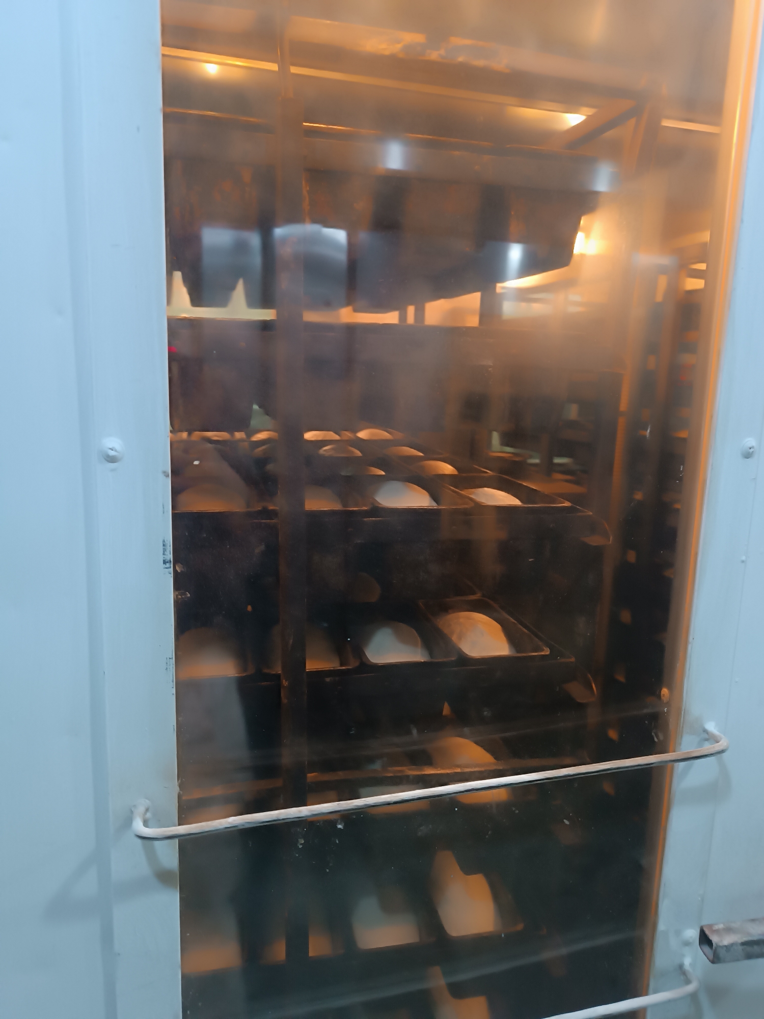 A view inside a commercial oven shows several trays of what appears to be dough, likely bread, rising. The oven is constructed of stainless steel and glass. The interior is brightly lit, creating a warm glow around the rising dough. The racks are metal and hold the trays, which are evenly spaced throughout the oven's interior. The location appears to be an industrial kitchen or bakery, given the scale and type of oven, at the city of Unknown, Unknown.