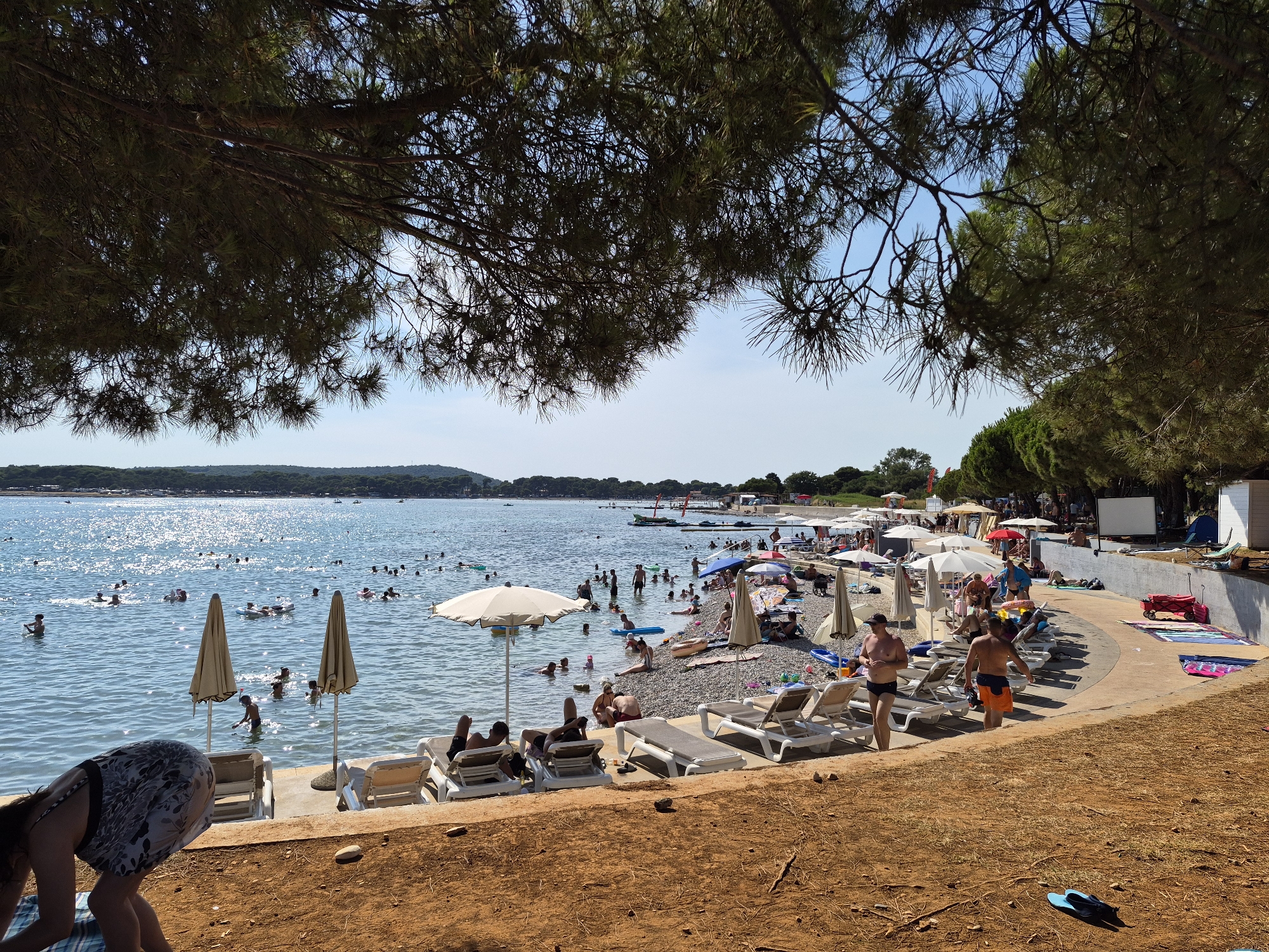 The image depicts a bustling beach scene on a sunny day in Općina Medulin, Croatia. The foreground is dominated by reddish-brown earth and dry foliage. A woman in a patterned dress is partially visible in the lower left corner, leaning down. Adjacent to her are several white lounge chairs, some occupied by sunbathers, and two beige beach umbrellas.
The middle ground transitions to a pebble beach, also lined with lounge chairs and umbrellas, with a concrete walkway behind them. Many people are scattered on the beach, some sitting, some standing, and some walking. Two men in swim trunks are walking along the walkway.
The background features a clear blue sky and a wide expanse of sparkling blue water, filled with numerous swimmers of all ages, some with inflatable floats. Boats are visible in the distance. The shoreline is lined with trees, and further inland, there are buildings and a hill covered in vegetation. The overall impression is of a lively and popular tourist destination.