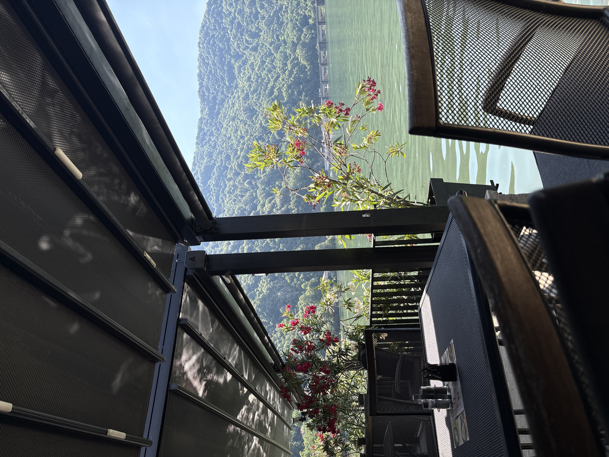 The image depicts an outdoor seating area overlooking a body of water and a densely forested hillside, with a bright, clear sky suggesting daytime. The perspective is unusual, as the scene is oriented sideways, with the sky and water appearing at the top and bottom of the frame respectively, and the hillside occupying the upper left portion.
The foreground is dominated by dark, metallic structures that appear to be part of a covered patio or balcony. These structures include what look like slatted screens or awnings, possibly made of a perforated material. Several pieces of outdoor furniture, including chairs with mesh seating, are visible. A flowering bush with pinkish-red blossoms is growing in the foreground, reaching up towards the open sky.
The middle ground features the expanse of calm, greenish water, with a hint of man-made structures along the far bank, possibly a dam or retaining wall. The background is a vibrant, green hillside covered in dense trees, appearing lush and undeveloped.
The time of day is suggested by the bright sunlight casting distinct shadows, particularly on the dark slatted structures in the foreground. The weather appears to be fair and sunny, contributing to the serene yet dramatic landscape. While no people are visible, the setup implies a place for relaxation or dining, possibly a cafe, restaurant, or private balcony. The overall mood is one of peaceful contemplation of a natural landscape from a modern, man-made vantage point. No discernible text is visible in the image. The location context of Divic, Bosnia and Herzegovina suggests this is a scenic vista within that region.