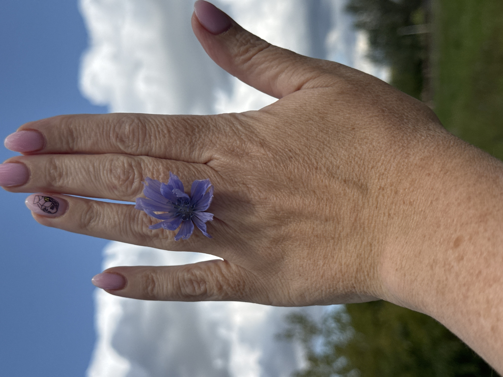A person's left hand is held up against a cloudy blue sky with green foliage in the background. A single light blue flower is positioned on the back of the hand, between the index and middle fingers. The fingernails are painted a light pink, and the index finger nail has a small black line drawing of a face. The skin on the back of the hand shows fine lines and some freckling. The background suggests an outdoor setting, possibly a park or rural area, but there are no discernible landmarks to indicate a specific location within Ufa, Russia.