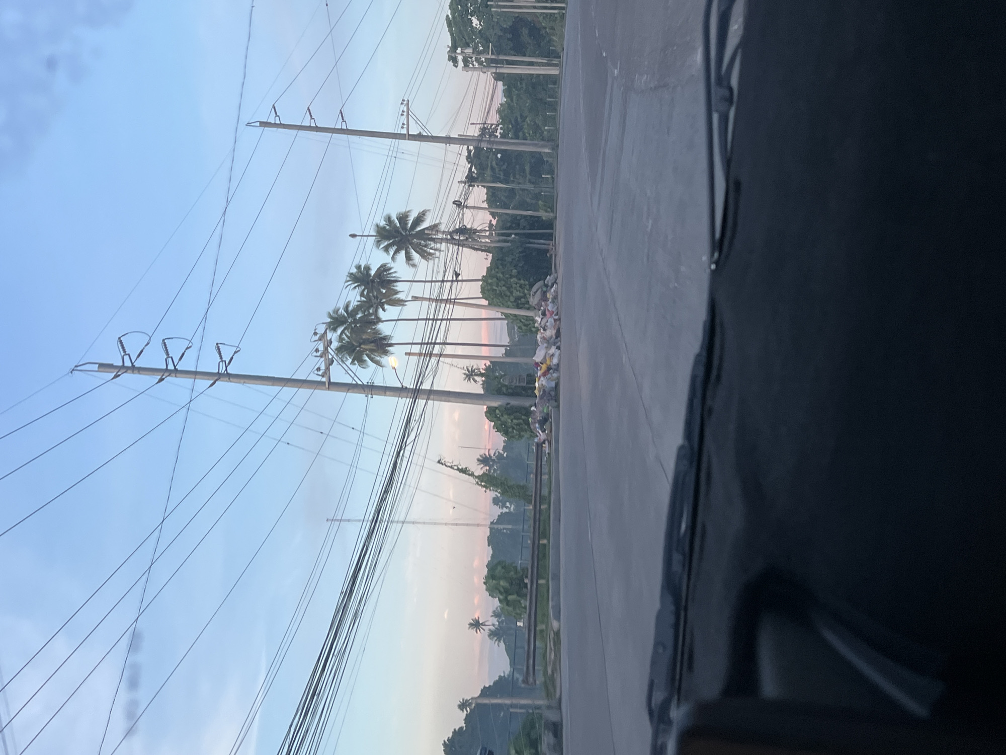 A pile of garbage bags is visible by the roadside in Davao City, Philippines, under a sky with a soft gradient of pink and blue. Numerous utility poles and a dense network of electrical wires dominate the background, with a line of palm trees interspersed with lush green foliage. The foreground is composed of a grey asphalt road, with the edge of a car's dashboard and windshield wipers in the lower part of the frame, suggesting the image was taken from inside a vehicle.