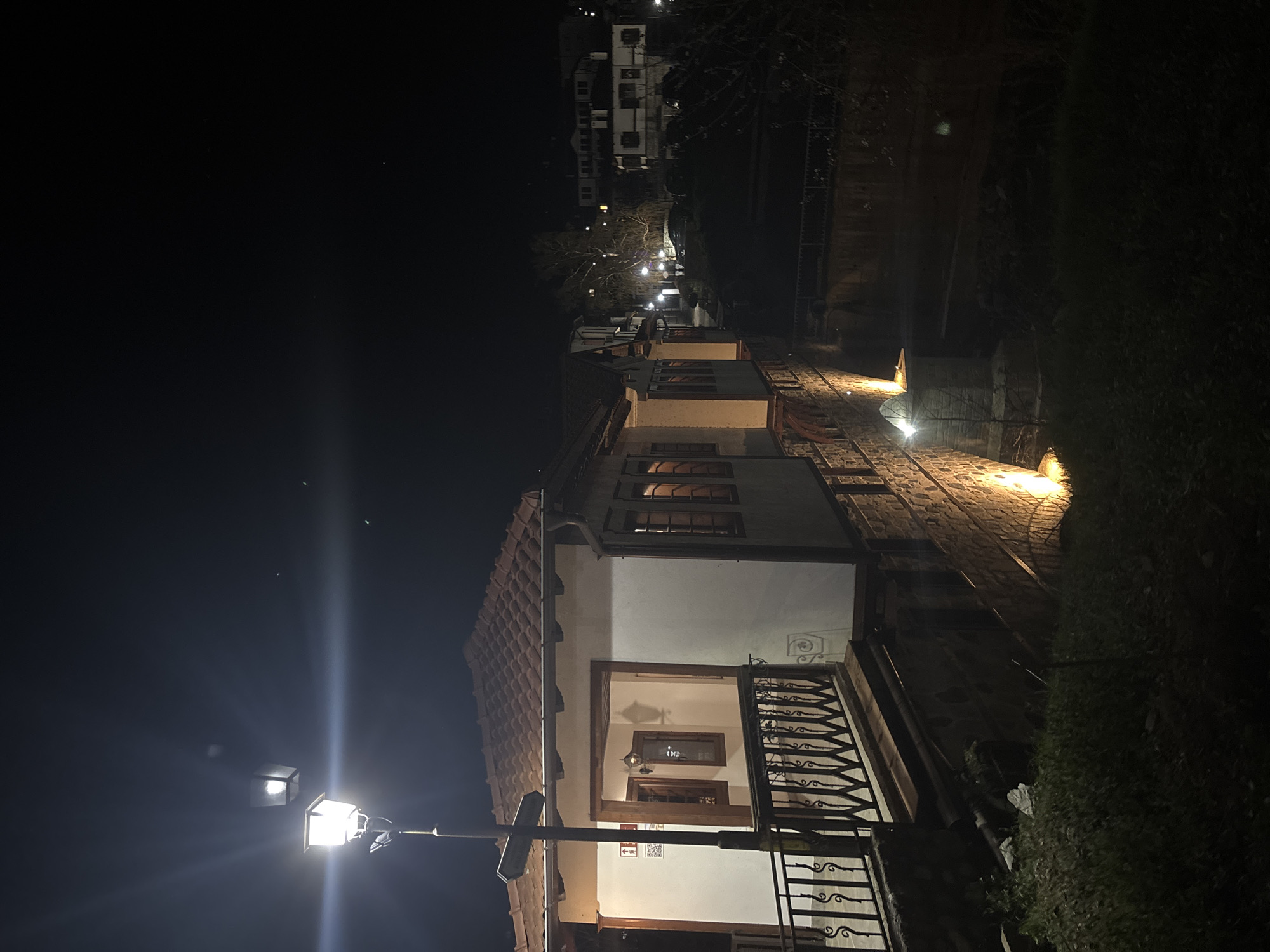 Captured at night in Zlatograd, Bulgaria, the image presents a streetscape illuminated by artificial lights. Buildings, primarily houses with tiled roofs and white walls, are situated along a cobblestone pathway. Decorative metal railings adorn the front of one house. A lamppost stands prominently in the foreground. In the background, a cluster of buildings with lit windows can be seen further up the street. Vegetation is present on the right side of the image.