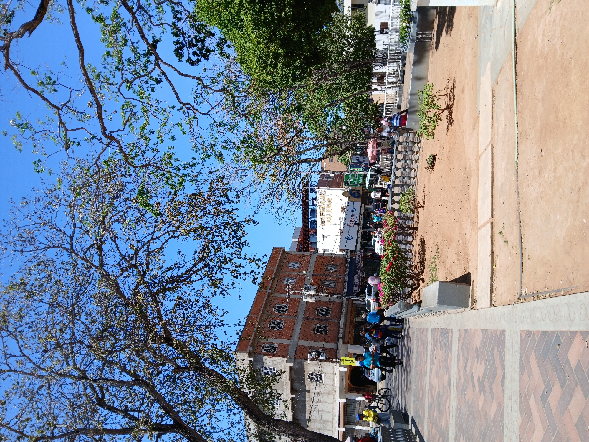 The image depicts a street scene in Porlamar, Venezuela. The foreground shows a patterned brick walkway alongside a dirt path lined with concrete barriers and foliage. In the middle ground, a multi-story brick and concrete building dominates the view, with people walking along the sidewalk in front of it. Some of the pedestrians are wearing blue shirts. Bicycles are present on the sidewalk. Storefronts with signage are visible. Overhead utility lines run across the building's façade. Trees with sparse foliage frame the scene on the left, while denser trees are situated towards the top right of the image, against a clear blue sky.