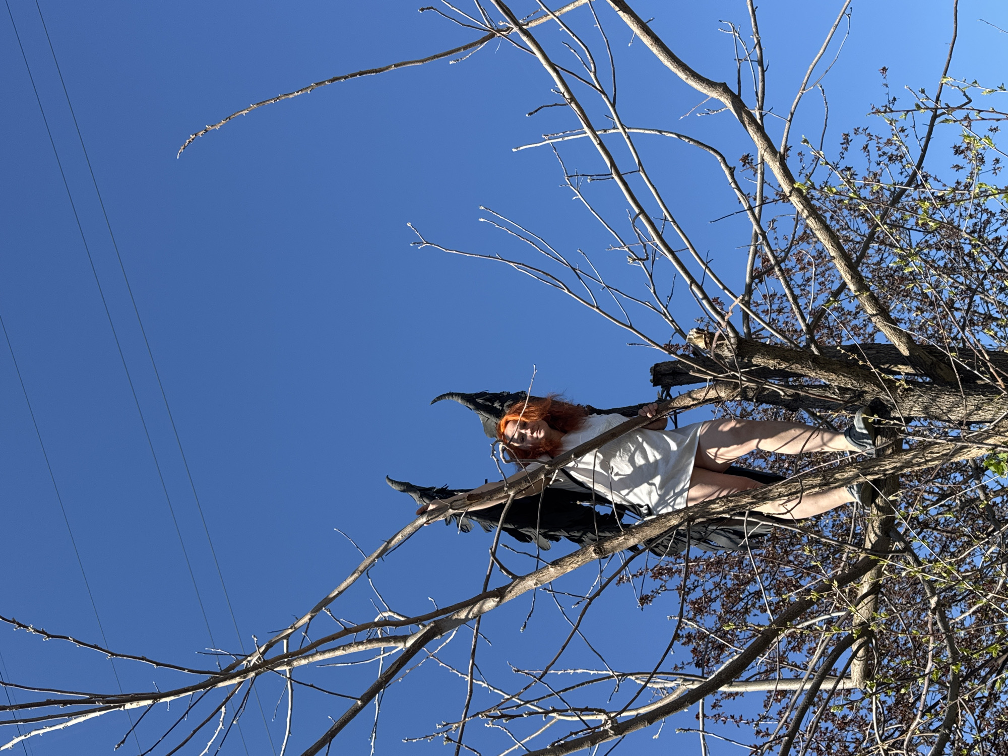 A woman is perched in the branches of a tree against a bright blue sky. The woman has red hair and is wearing a white dress and black wings. Utility wires are visible in the upper left corner of the frame. The tree is mostly bare but has some small buds and leaves. I'm unable to confirm the location as Chaikovsky, Russia.