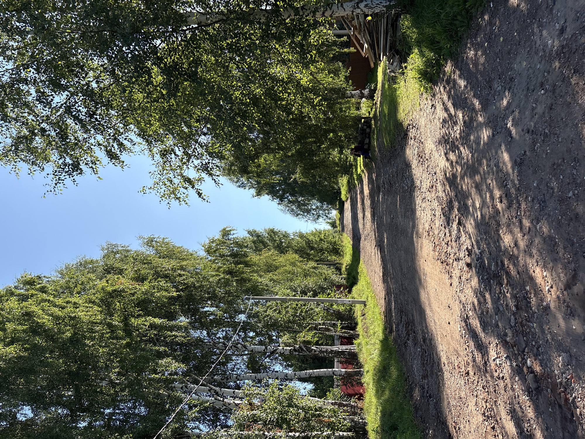 This image depicts a rural dirt road in Overyata, Russia, lined with tall birch and other deciduous trees. The road is unpaved, with a rough surface of dirt, gravel, and some scattered rocks. Sunlight casts dappled shadows across the road from the foliage. On the left side of the road, a red fence is visible, partially obscured by trees. Further down the road, a person is seated on a log pile under a tree, facing away from the camera. On the right side of the road, a pile of lumber is stacked. The sky is clear and blue. The scene suggests a quiet, natural environment on a sunny day.
