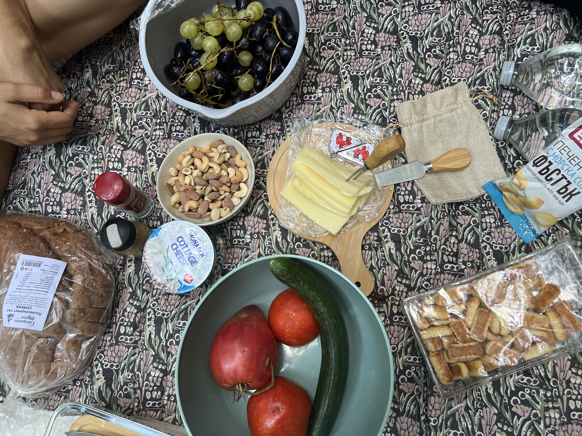 This image captures a picnic laid out on a patterned blanket, possibly in a natural setting near Zheleznitsa, Bulgaria. The spread includes a loaf of sliced bread in plastic packaging, a tub of cottage cheese, a bowl of mixed nuts, a bowl containing green and dark grapes, a light blue bowl with tomatoes and a cucumber, sliced cheese with a cheese knife and fork, a bag of roasted peanuts, and two bottles of water. A person's hands and legs are visible in the upper right corner of the image, suggesting they are participating in the picnic. The lighting suggests it is daytime.