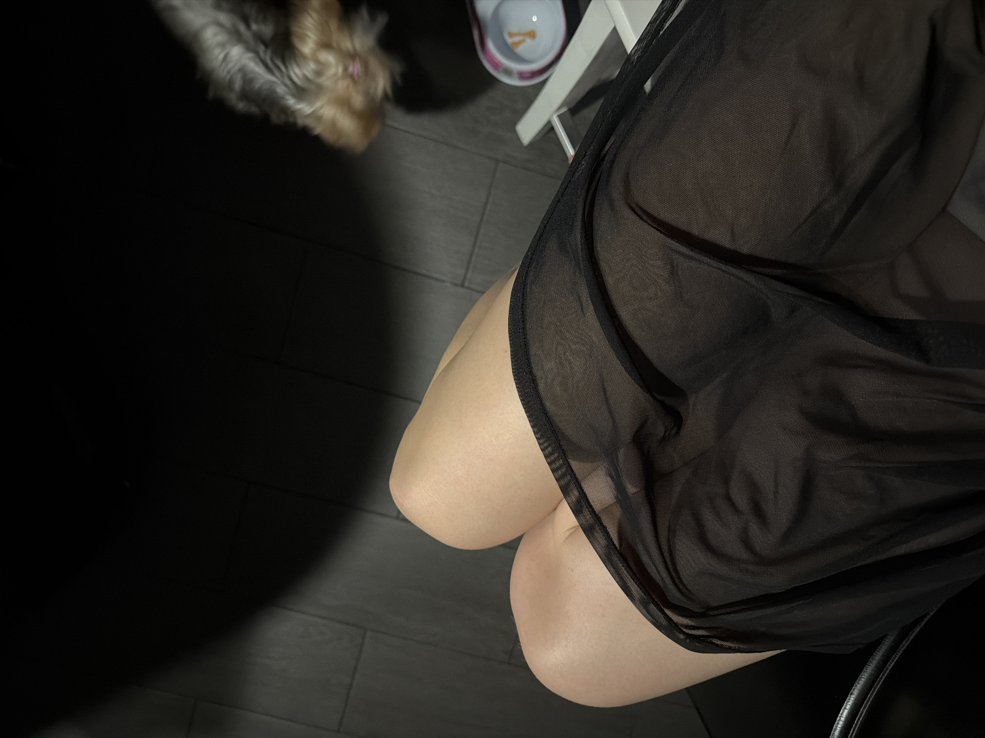 The image shows a close-up view of a person's legs, from the knees down, wearing a sheer black garment. The person is seated, with their legs bent and crossed. The floor is dark, appearing to be wood or laminate. In the upper right corner, a small dog, possibly a Yorkshire Terrier, is visible. A pink and white bowl is also present in the background, with what appears to be food inside. A portion of a white chair or stand is also visible. The lighting creates strong shadows, with a spotlight effect on the upper left of the frame, illuminating a section of the floor. The location is stated to be in Bila Tserkva, Ukraine.