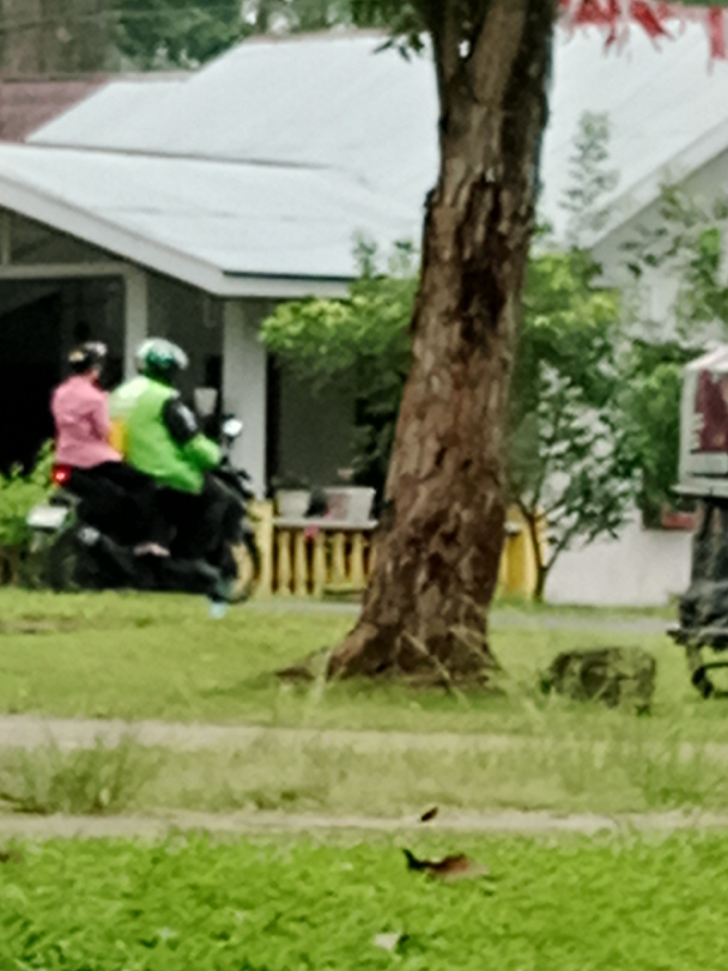 The image shows two people on a motorcycle in front of a building. The person in the back is wearing a pink shirt and the person in the front is wearing a green jacket and helmet. The motorcycle is black. In the background, there is a building with a white roof and a tree in the foreground. The ground is covered in grass. The scene appears to be in a residential area. This is a scene from the City of Binjai, Indonesia.