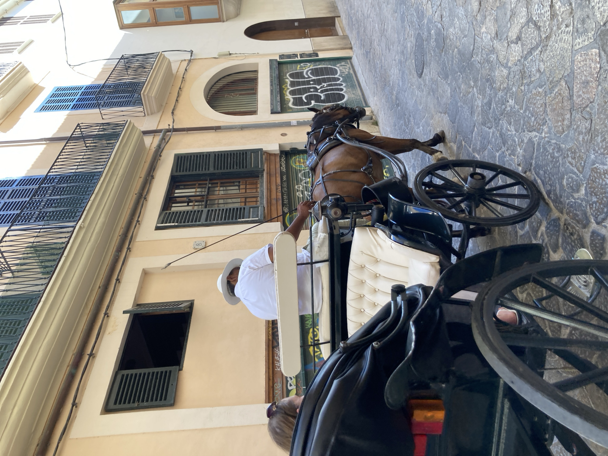 In Palma de Mallorca, Spain, a horse-drawn carriage traverses a narrow cobblestone street. The carriage, painted black with white upholstered seating, carries two passengers. The driver, dressed in a white shirt and hat, controls the reins of a brown horse harnessed to the front. The street is lined with buildings featuring traditional architecture, including shuttered windows and balconies. Graffiti adorns the walls of some structures, adding a modern touch to the historic setting. The sunlight casts shadows on the street, indicating it is daytime. The overall scene captures a picturesque moment of leisure and tourism in the city.