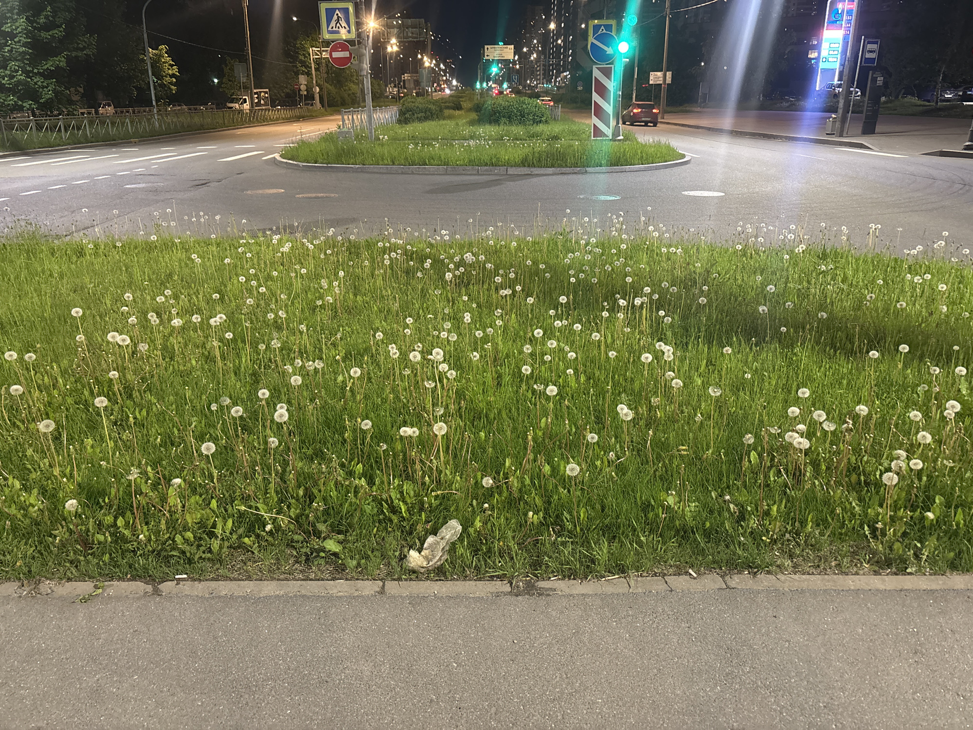 The image depicts a street intersection at night in an unidentified city. In the foreground is a patch of grass containing many dandelions. A piece of discarded plastic lies at the base of the grass, near the pavement. The pavement is grey and borders the grassy area. Beyond the grass, there is a street intersection with multiple lanes. In the center of the intersection is a traffic island, partially covered with grass and some greenery. Streetlights illuminate the scene, and traffic signals are visible. A gas station is seen in the background, its lights adding to the overall illumination. Cars are seen in the distance, their lights adding to the city's nighttime ambiance. The setting appears to be an urban environment.