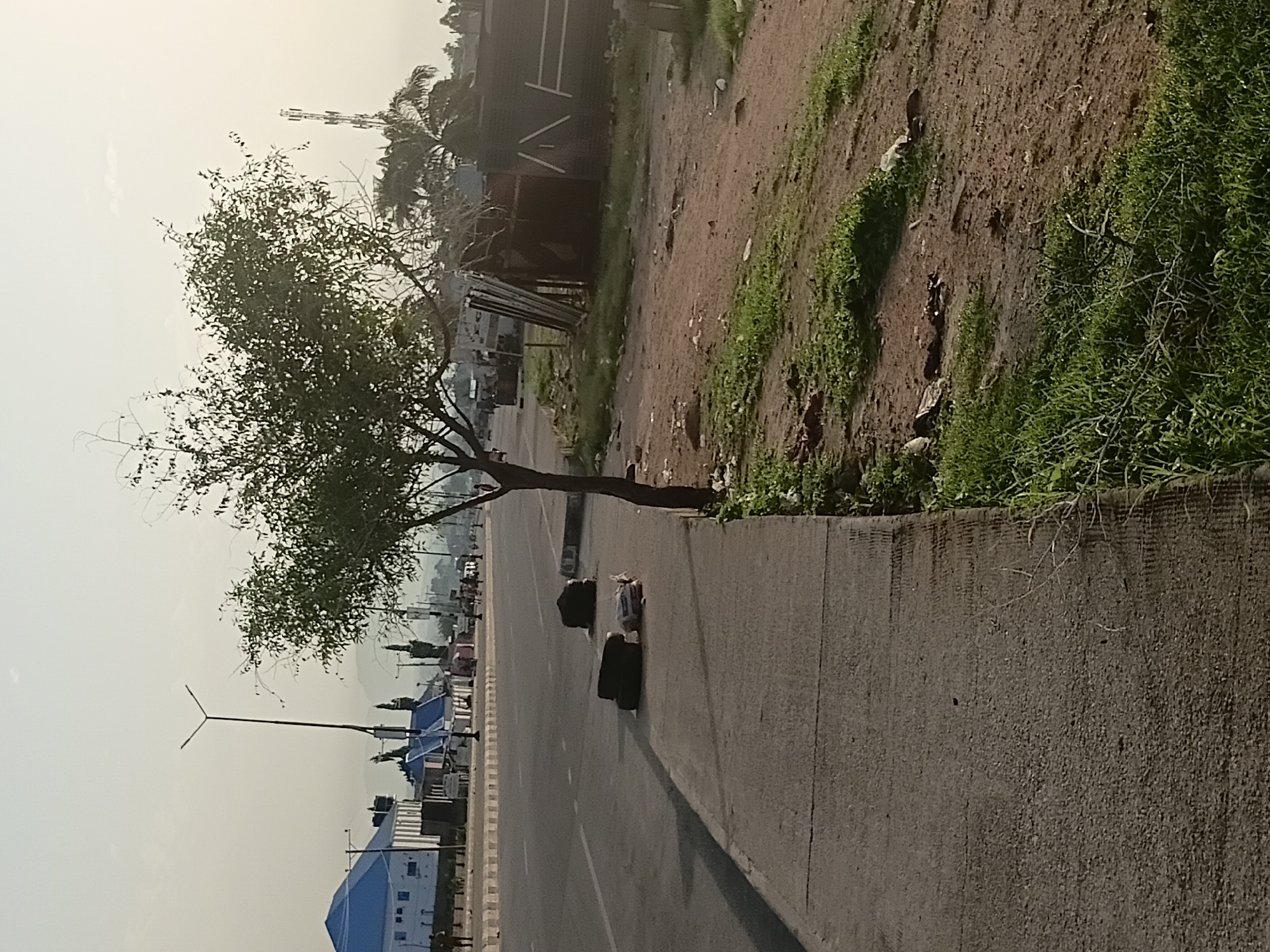 The image shows a roadside scene in Jalingo, Nigeria. On the left side of the frame is a paved sidewalk with some debris on it, including two tires and some other objects. Beyond the sidewalk is a road with white lane markings. On the right side of the frame is a dirt embankment covered in patchy green grass and scattered litter. A small tree with sparse foliage stands prominently in the foreground, casting a shadow on the sidewalk. In the background, buildings with blue roofs and a utility pole are visible. A distant view of mountains under a hazy sky completes the scene.