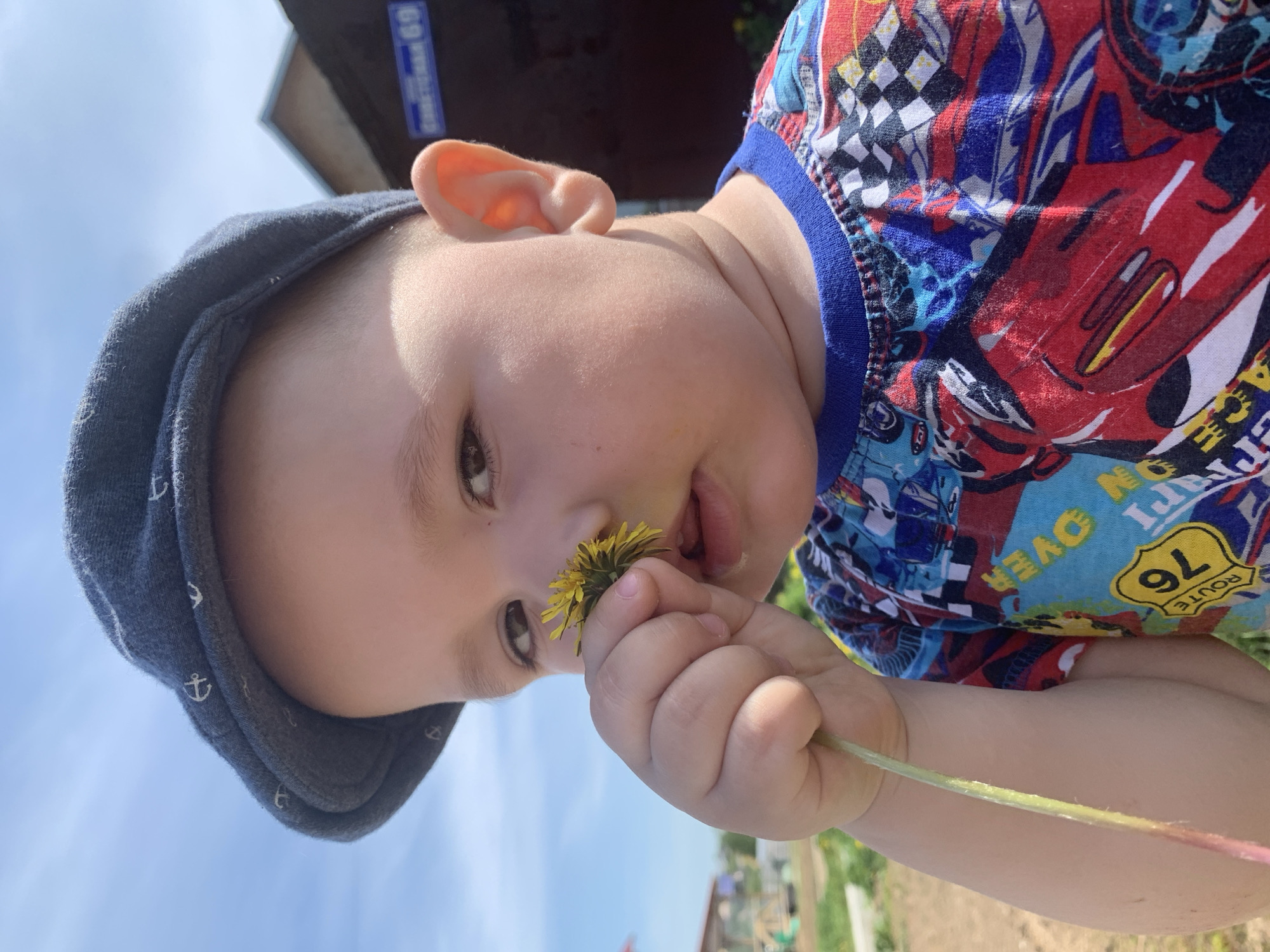 A close-up shot depicts a toddler wearing a gray cap with white anchor details. The child is holding a yellow dandelion close to their face, seemingly about to put it in their mouth. The toddler is wearing a colorful shirt with a blue trim. The background shows a clear blue sky and snippets of greenery. Due to lack of further details, the exact location of Фоки, Russia cannot be determined.