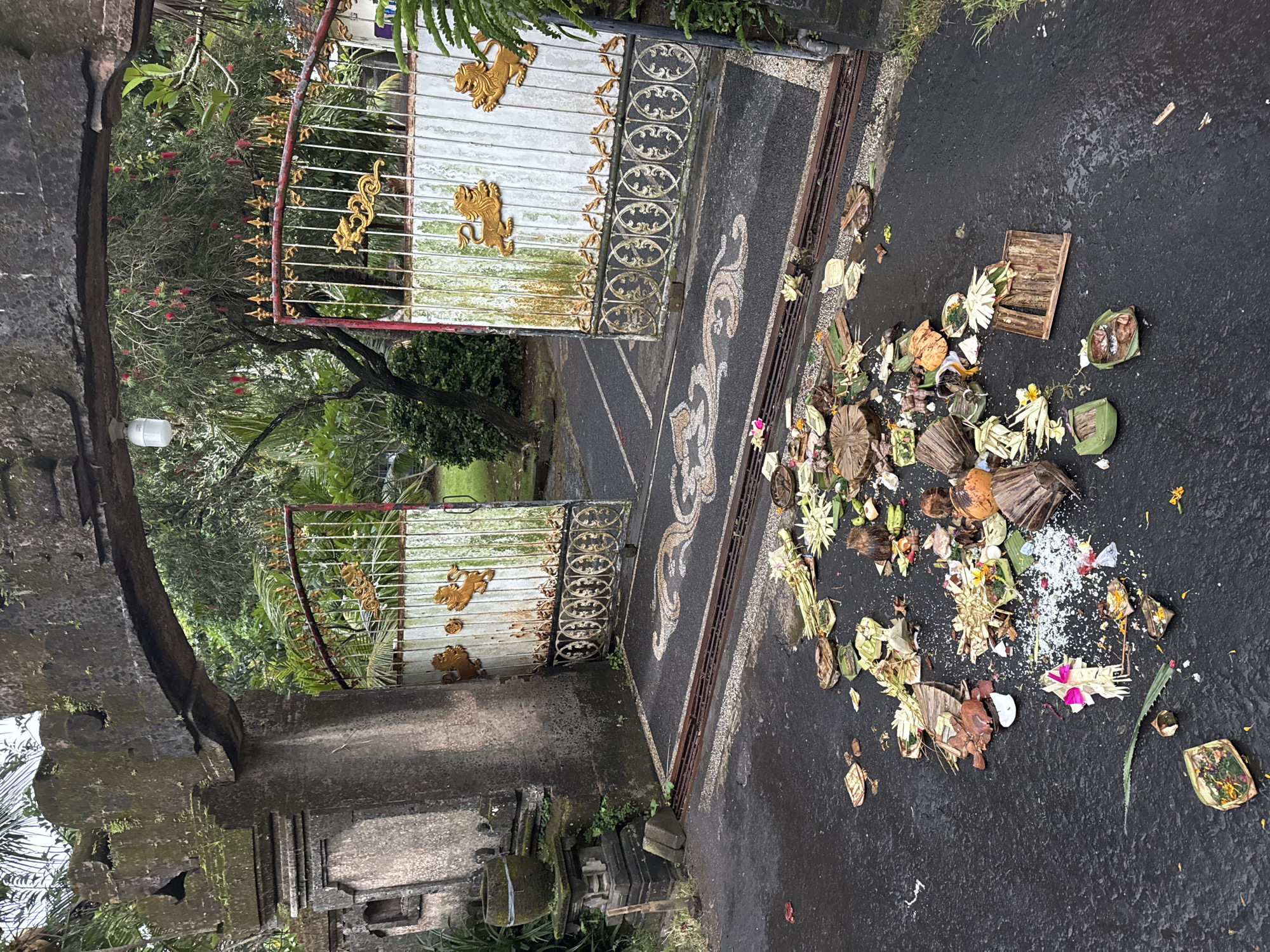 The image depicts an open, ornate metal gate with golden lion motifs, leading into a lush garden in Kuta Selatan, Indonesia. The gate is bordered by a stone structure covered in moss. On the wet, dark asphalt pavement just outside the gate lies a scattered array of discarded Balinese offerings, consisting of woven baskets, flowers, leaves, rice, and other organic materials. A decorative black stone design extends from the gate onto the pavement.