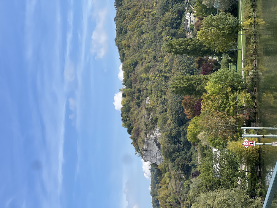 This image displays a landscape view of the Seine River in Vernon, France. In the foreground, the dark green river surface occupies the lower third of the frame, with a dark green bridge railing visible at the bottom left. Two white cylindrical poles extend from the water near the left bank; one features a circular red and white sign indicating "No Mooring" or "No Anchoring." The opposing riverbank presents a narrow strip of green land and diverse deciduous trees, exhibiting autumnal colors including green, yellow, orange, and red foliage. A prominent, densely forested hillside rises in the background, featuring a distinct, irregular white chalk cliff face exposed on its upper left slope. Several white residential buildings are partially visible amidst the trees on the hillside. The sky above is clear blue with scattered white stratocumulus clouds. No individuals are present in the scene.