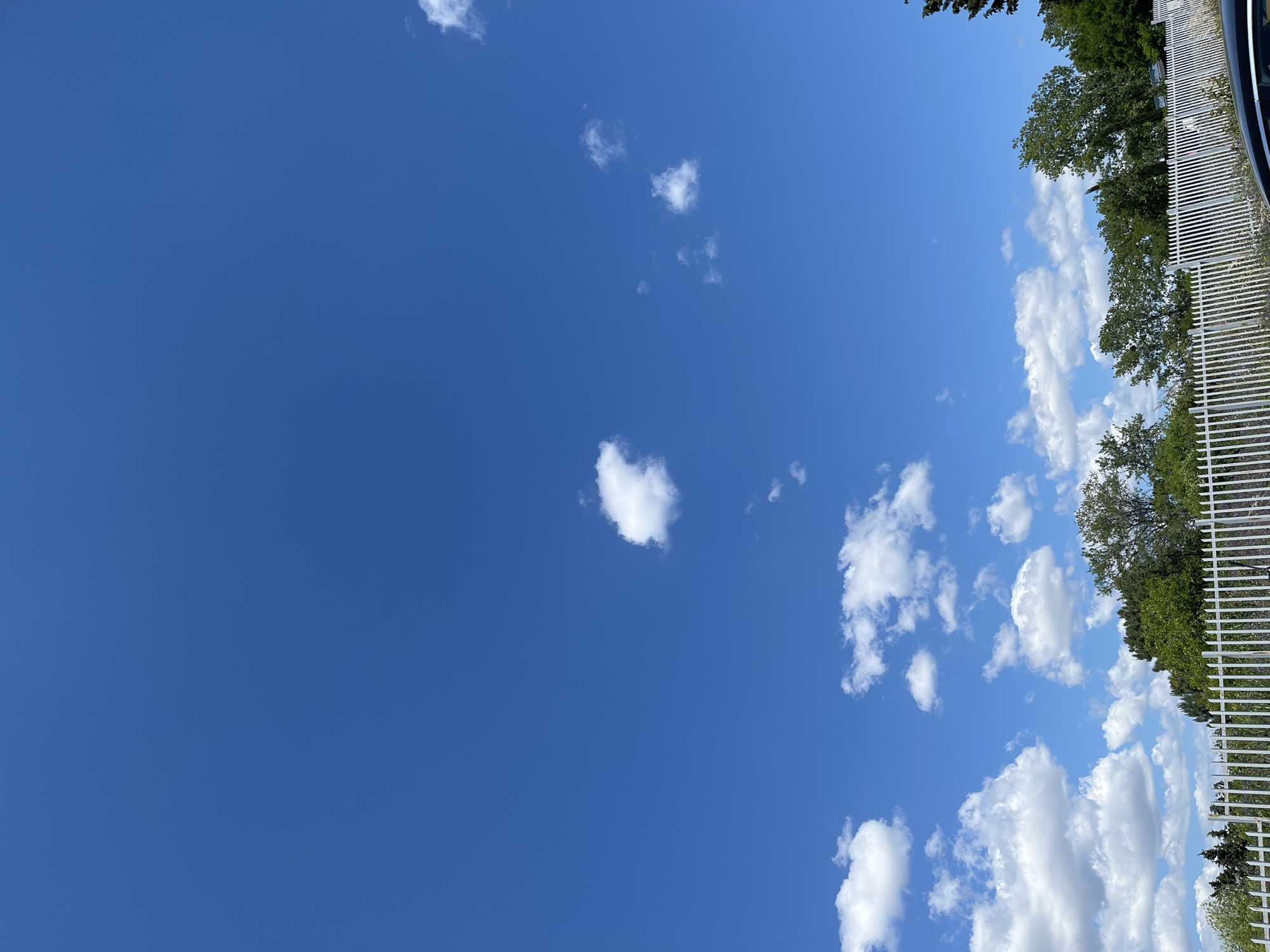 An outdoor, vertical, eye-level shot captures a bright blue sky dotted with scattered white clouds. A white picket fence runs horizontally across the bottom third of the image, separating the foreground from a line of green trees in the mid-ground. The fence extends from the left edge to the right edge, and the trees behind it appear lush and full. The sky is clear and vast, with a few wispy clouds scattered throughout, adding depth and texture to the scene. The overall impression is one of a clear, sunny day in an outdoor setting.