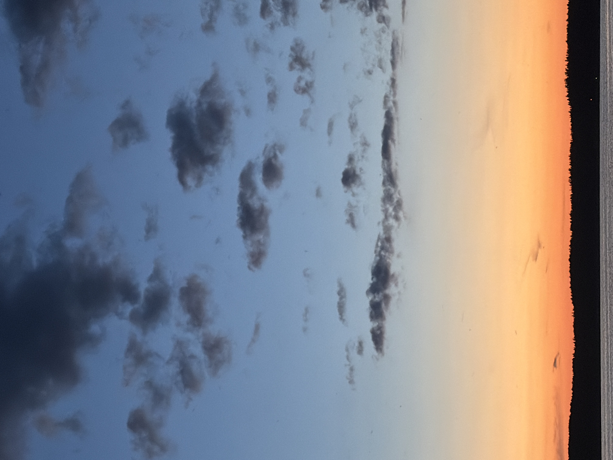 The image depicts a wide shot of a sunset over a body of water, likely a lake, as seen from the shore. The sky transitions from a deep blue at the top, with scattered dark clouds, to a vibrant orange and yellow gradient closer to the horizon. A dark, silhouetted tree line forms the backdrop along the distant shore. The water in the foreground is calm, reflecting the colors of the sky. The scene evokes a sense of tranquility and natural beauty, characteristic of a peaceful evening in a natural landscape. This view is consistent with the natural environment surrounding Vidogoshchi, Russia, known for its lakes and forested areas.