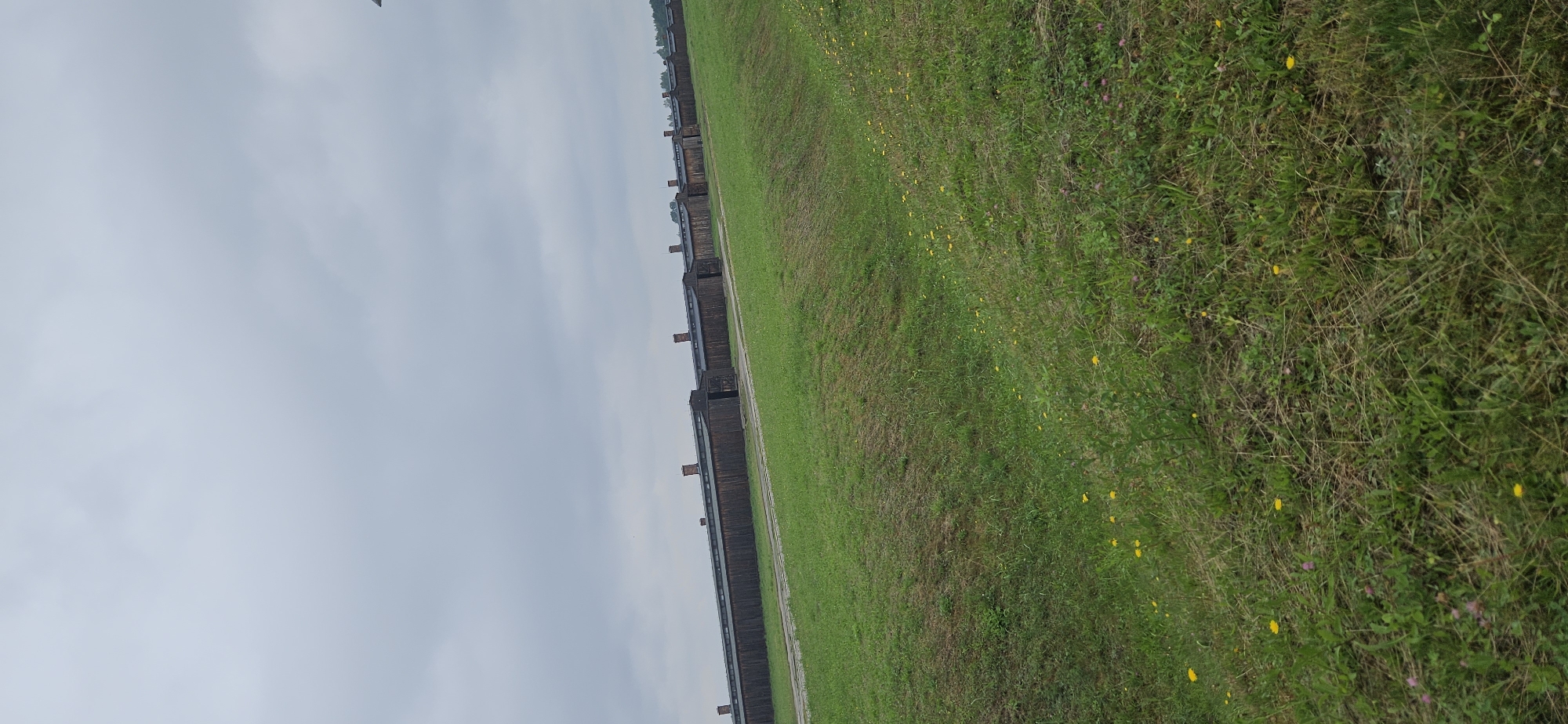 This image shows a long, low wooden building with multiple entrances and a dark, sloped roof. Red brick chimneys are visible along the roofline. The building appears to be part of a larger complex, with similar structures stretching into the distance. In front of the building is a paved path, followed by a grassy slope dotted with small yellow wildflowers. The sky is overcast and gray. This scene is located at the former Auschwitz II-Birkenau camp in Brzezinka, Poland.