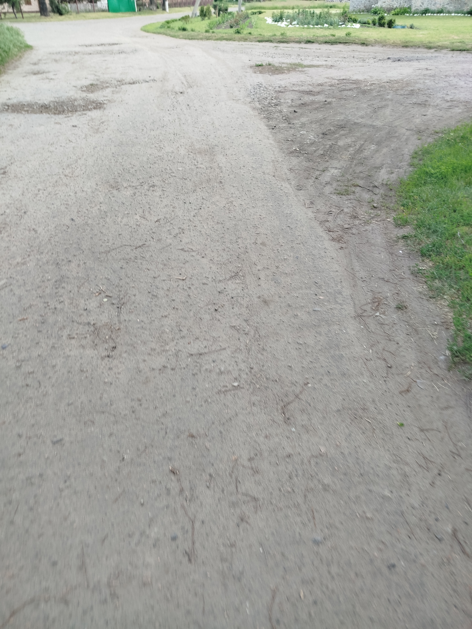 The image captures a rural or semi-rural dirt road, presenting a natural outdoor scene. The foreground and much of the mid-ground are dominated by the unpaved road surface, which is light grey-brown, covered with small stones, gravel, and scattered debris like dried leaves and twigs. The road appears worn, with visible depressions and areas of varied texture.
To the right side of the frame, a strip of vibrant green grass borders the dirt path, suggesting a verge or an overgrown area. A similar patch of grass and some taller green vegetation are visible on the left side, particularly further down the road where it curves gently to the left. In the background, beyond the bend in the road, indistinct structures can be discerned, including what appears to be a green fence or gate, and possibly parts of buildings or stone walls, intermingled with more greenery and trees.
The scene is illuminated by diffused natural light, indicating either an overcast day or a time of day like morning or late afternoon when direct sunlight isn't harsh, as there are no strong shadows. The ground appears dry. No people or animals are visible, and no specific activity is taking place. The overall impression is one of a quiet landscape in Ustyvytsia, Ukraine. There is no visible text in the image.