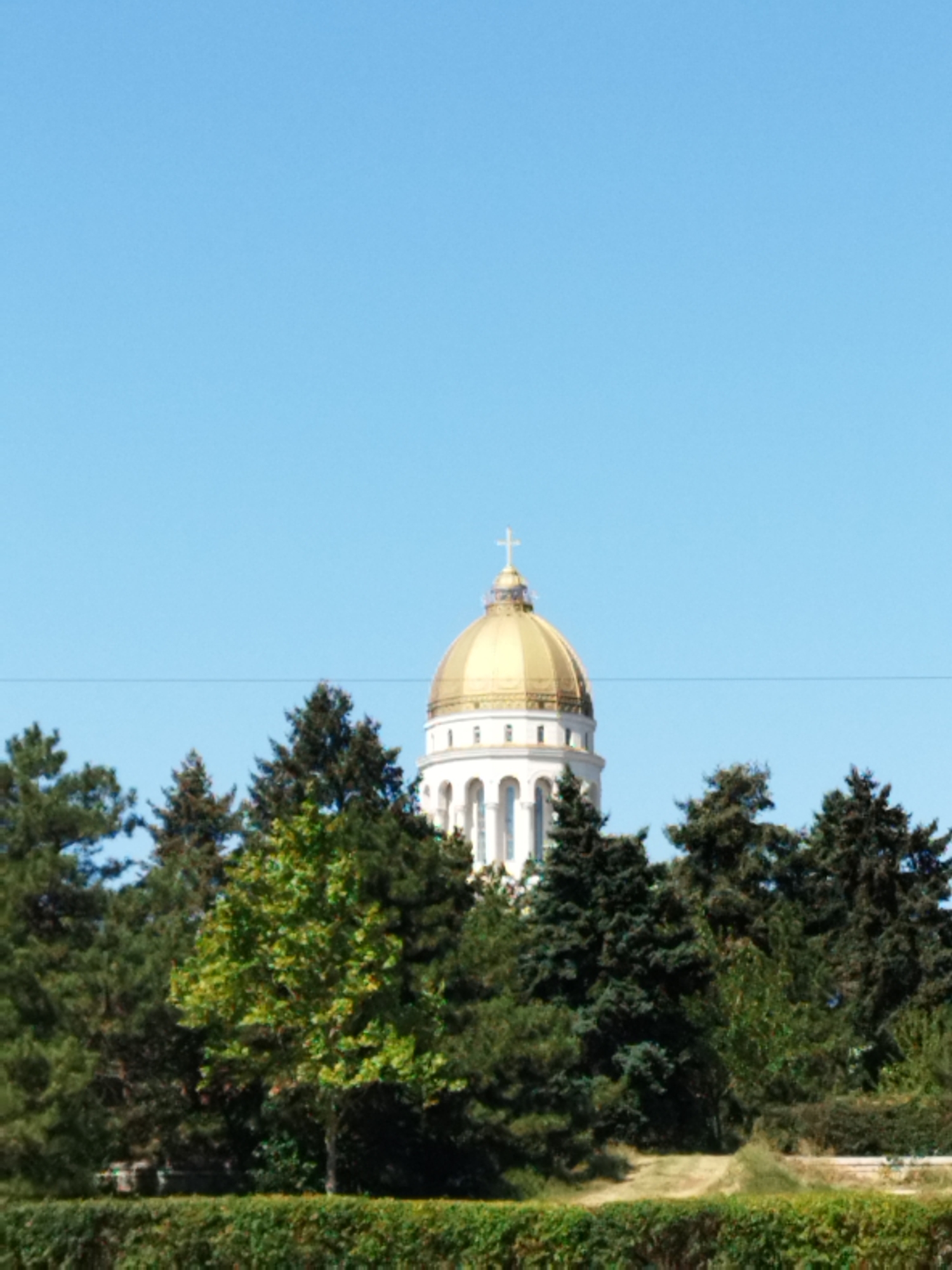 This image captures a portion of the Romanian Orthodox Cathedral in Bucharest, Romania. The golden dome of the cathedral is visible above a line of dense green trees, set against a clear blue sky. The cathedral's white facade with arched windows is partially visible behind the foliage. The foreground features a manicured hedge. The image appears to be taken from a public park or green space.