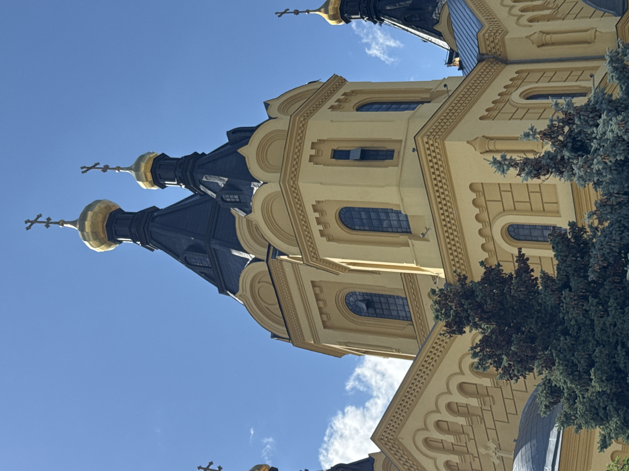The image shows a close-up, low-angle view of the Alexander Nevsky Cathedral in Nizhny Novgorod, Russia. The bright yellow facade of the cathedral dominates the frame, with its distinctive architectural details. Several onion domes, capped with golden crosses, rise above the structure, contrasting with the deep blue sky. The domes are topped with elaborate crosses. Black roofs extend from the towers, and arched windows with dark panes are visible. The building is decorated with ornamental cornices and brickwork patterns. Evergreen trees, with their dark green needles and visible cones, are positioned in the foreground, partially obscuring the lower portion of the cathedral. The sky is a clear blue with scattered white clouds.