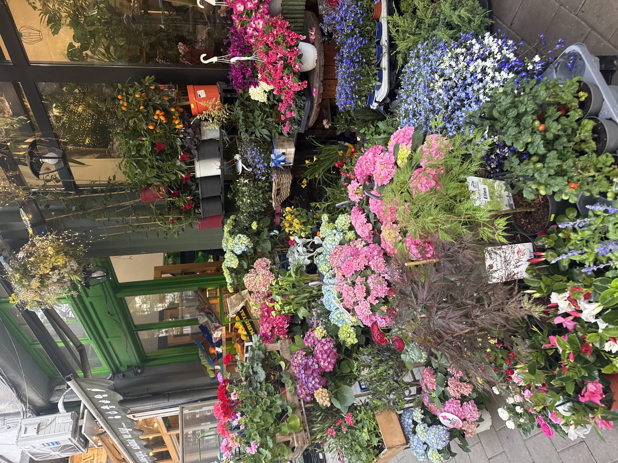 The image captures a vibrant flower shop, likely in Sofia, Bulgaria, given the Cyrillic text on a signboard. The shopfront is densely packed with a variety of colorful plants and flowers, including hydrangeas in pink, blue, and green shades, petunias, and plants with small red and orange fruits. Some are potted, others in hanging baskets or wooden crates. A green-painted window frame is visible, along with an awning with Cyrillic lettering. The scene is captured during the day, with natural light illuminating the flowers and objects.