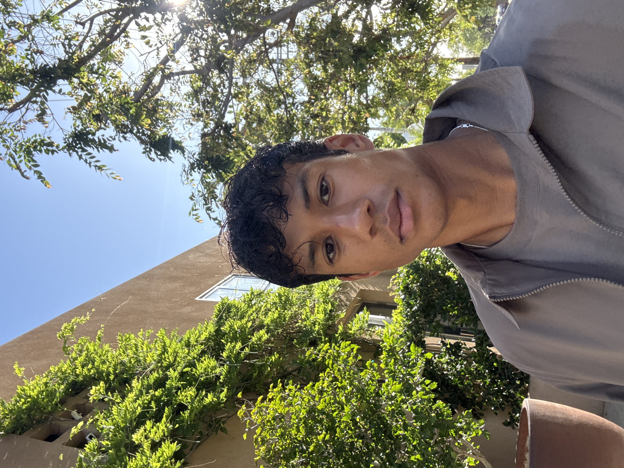 A photograph taken outdoors in Los Angeles, California, shows a man with short, dark, curly hair, tan skin, and brown eyes. He is wearing a gray zipper jacket and stands against a background featuring a building covered in lush green vines. The architecture suggests a residence or commercial building with windows partially obscured by the vegetation. Above the building and the man, a tree with dense leaves is visible against a bright blue sky with the sun shining through the branches.