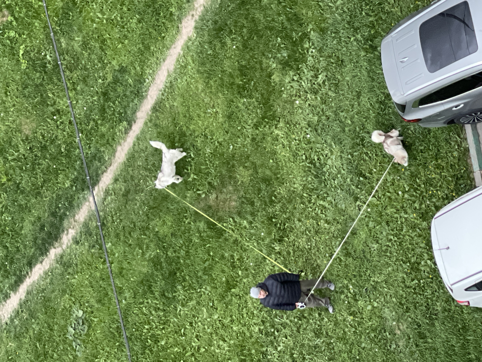 The image, taken from above, shows a man walking two dogs on a grassy area. A white line marking a field is visible on the left of the frame. The man is wearing a dark jacket and olive-colored pants. Two cars, one silver and one white, are parked on the right of the image. The location is Moscow, Russia.