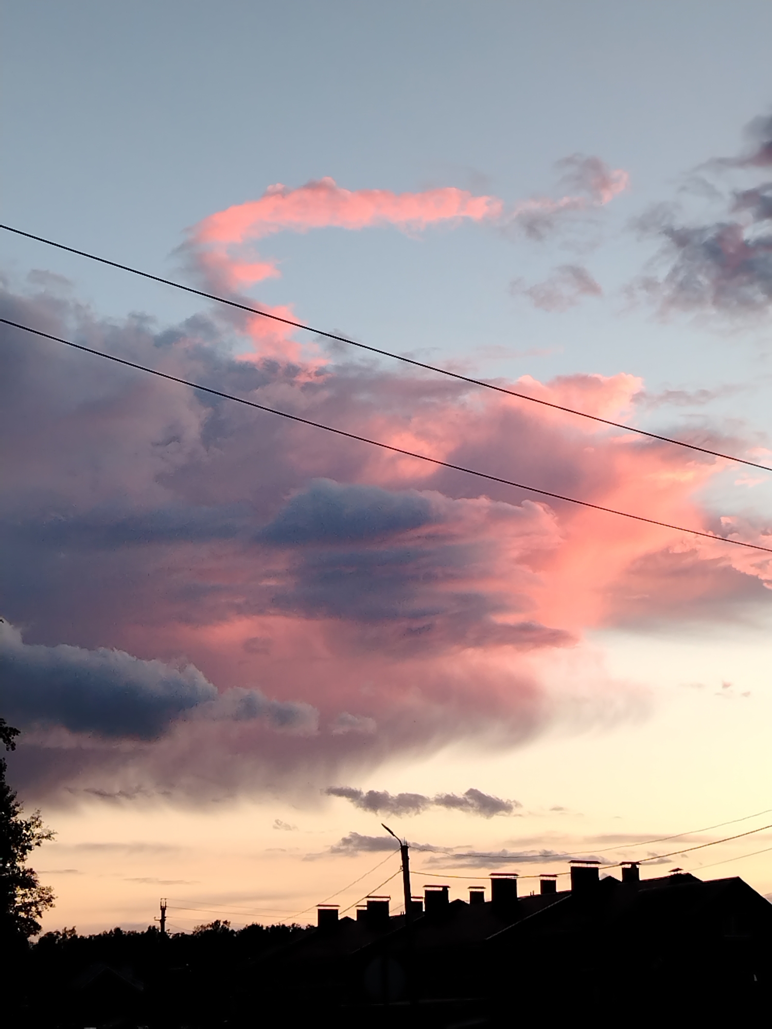 The image depicts a vibrant sunset with pink and purple clouds dominating the sky. Overhead power lines are visible cutting across the scene. Below the sky, the silhouetted outlines of buildings with chimneys and trees are seen. The location is inferred to be Noviy, Russia.
