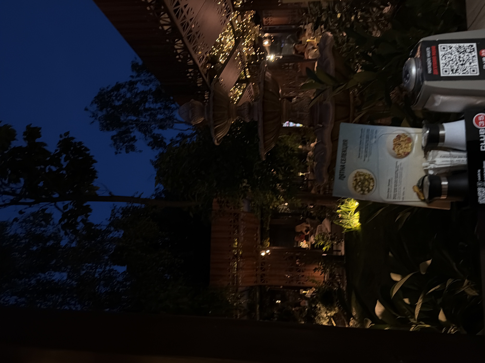 The image depicts an outdoor dining area at night, likely in Sofia, Bulgaria, suggested by the "CLUB 35" branding visible on a QR code stand and what appears to be a menu with Cyrillic text. The scene is dimly lit by ambient lighting, including string lights draped over a pergola and spotlights illuminating the foliage and a multi-tiered fountain in the foreground. Several patrons are seated at tables in the background, engaged in dining or conversation. A menu is prominently displayed on a stand in the lower right quadrant of the image, alongside salt and pepper shakers and a QR code for the establishment. The overall atmosphere is relaxed and inviting, with lush greenery contributing to a natural, open-air setting.