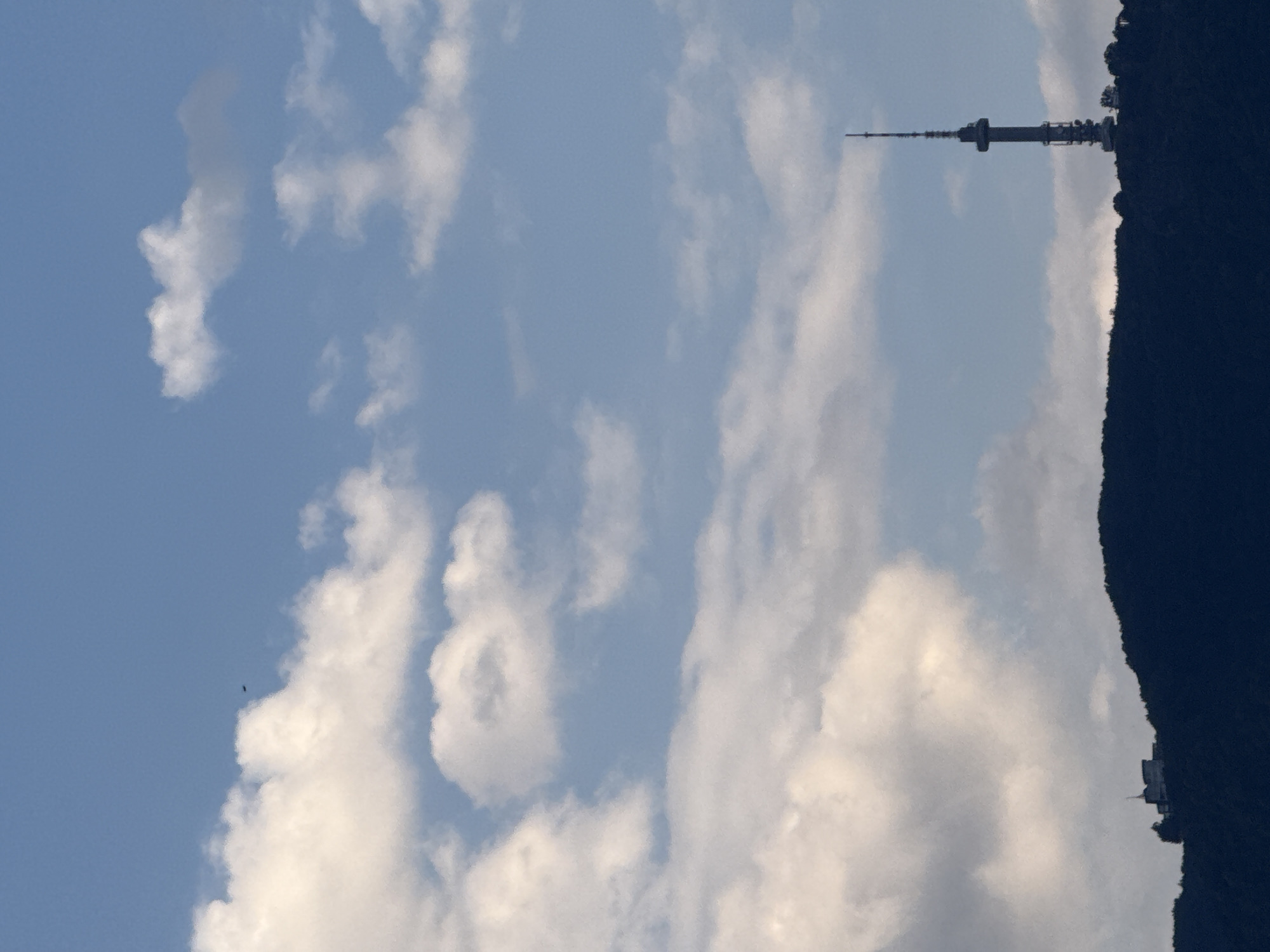 The image captures a view of the Sofia TV Tower and a building on a hill against a backdrop of a partly cloudy sky. The Sofia TV Tower, a prominent communication tower in Sofia, Bulgaria, is silhouetted against the sky on the right side of the frame. To the left of the tower, atop the dark silhouette of a hill, a building complex with a flag is visible. The hill is covered in dark vegetation. Several white clouds are scattered across the blue sky, with a small dark object, possibly a bird or an aircraft, visible in the upper left quadrant of the sky. The scene suggests an outdoor environment with a focus on the cityscape's elevated structures and the sky.