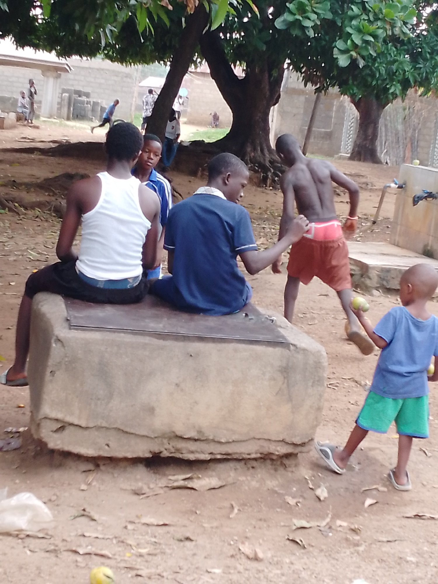 This outdoor photograph captures a group of men and boys gathered in what appears to be a village or rural setting, characterized by dusty, unpaved ground and natural vegetation. The scene is dominated by a large, mature tree with dense green foliage in the upper center and right, providing shade.
In the foreground, two young men or older boys are seated on a rectangular concrete structure, possibly a well cover or a bench. The one on the left wears a white tank top and dark shorts, with light-colored underpants peeking above his shorts. The other, to his right, is seen from the back, wearing a dark blue t-shirt and dark trousers.
To the right of the seated figures, a shirtless boy or young man in red shorts walks or moves, facing away from the camera. Further right, a younger child, wearing a blue t-shirt and green shorts, stands holding what appear to be two yellow-green fruits, possibly mangoes. Behind the shirtless boy, there's a small concrete structure with water taps, suggesting a communal water point.
In the mid-ground and background, more people are visible. One boy in a light blue shirt is standing near the trees. Another individual in a light-colored patterned shirt is visible behind the water taps. Several uncompleted or basic block structures can be seen in the background, indicating either construction or simple housing. The ground is dry and earthen, with scattered leaves and small pieces of debris, including some fallen yellow fruits.
The overall atmosphere suggests a casual gathering or daily activity in a community setting during daylight hours. No visible text is present in the image.