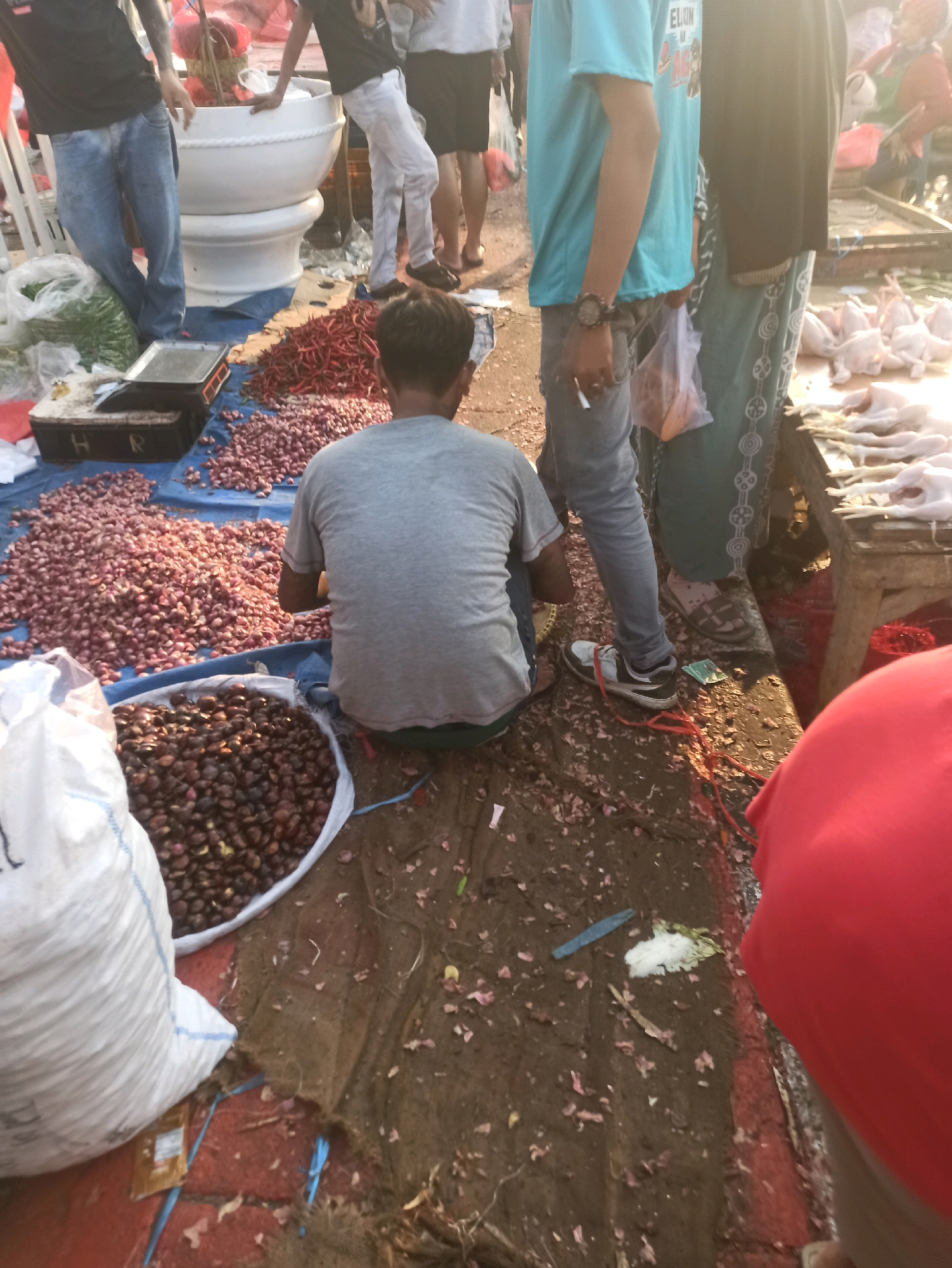 A daytime, outdoor, market scene in Cikarang, Indonesia, shows a vendor, seen from behind, sitting on the ground amidst piles of red chilies and onions. He is wearing a gray t-shirt and dark pants. In front of him is a large white sack filled with dark, round produce, possibly dates or olives. To his left, a blue tarp is spread across the ground, covered in heaps of small red chilies and pinkish-purple onions. A metal scale sits on a black box on the tarp. To the right of the vendor, two other individuals are visible. One person in a light blue t-shirt and jeans stands, while another, wearing a black t-shirt and a patterned skirt or sarong, also stands. A large white ceramic pot is partially visible behind them. In the background, a table displays several uncooked chickens. The ground is a mix of dirt, debris, and discarded produce skins.
