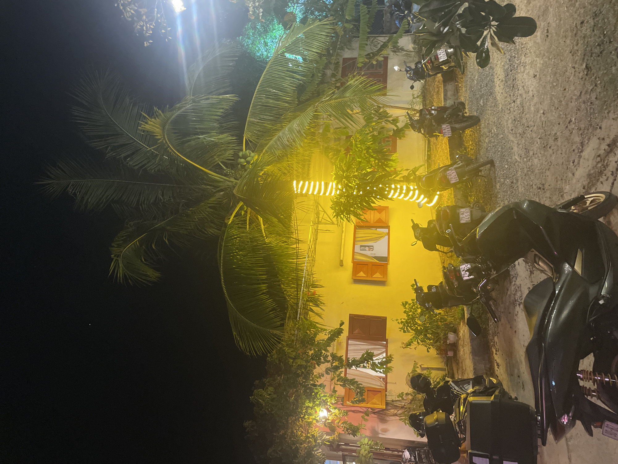 The image presents a night scene in what appears to be the Bac Natural Heritage Area Trang, Vietnam, with a tall palm tree prominently featured to the left of a yellow building adorned with decorative string lights. The building has multiple windows with orange frames. Several parked motorcycles are visible along the right side of the frame, situated on a paved surface. The sky is dark, suggesting the picture was taken at night.