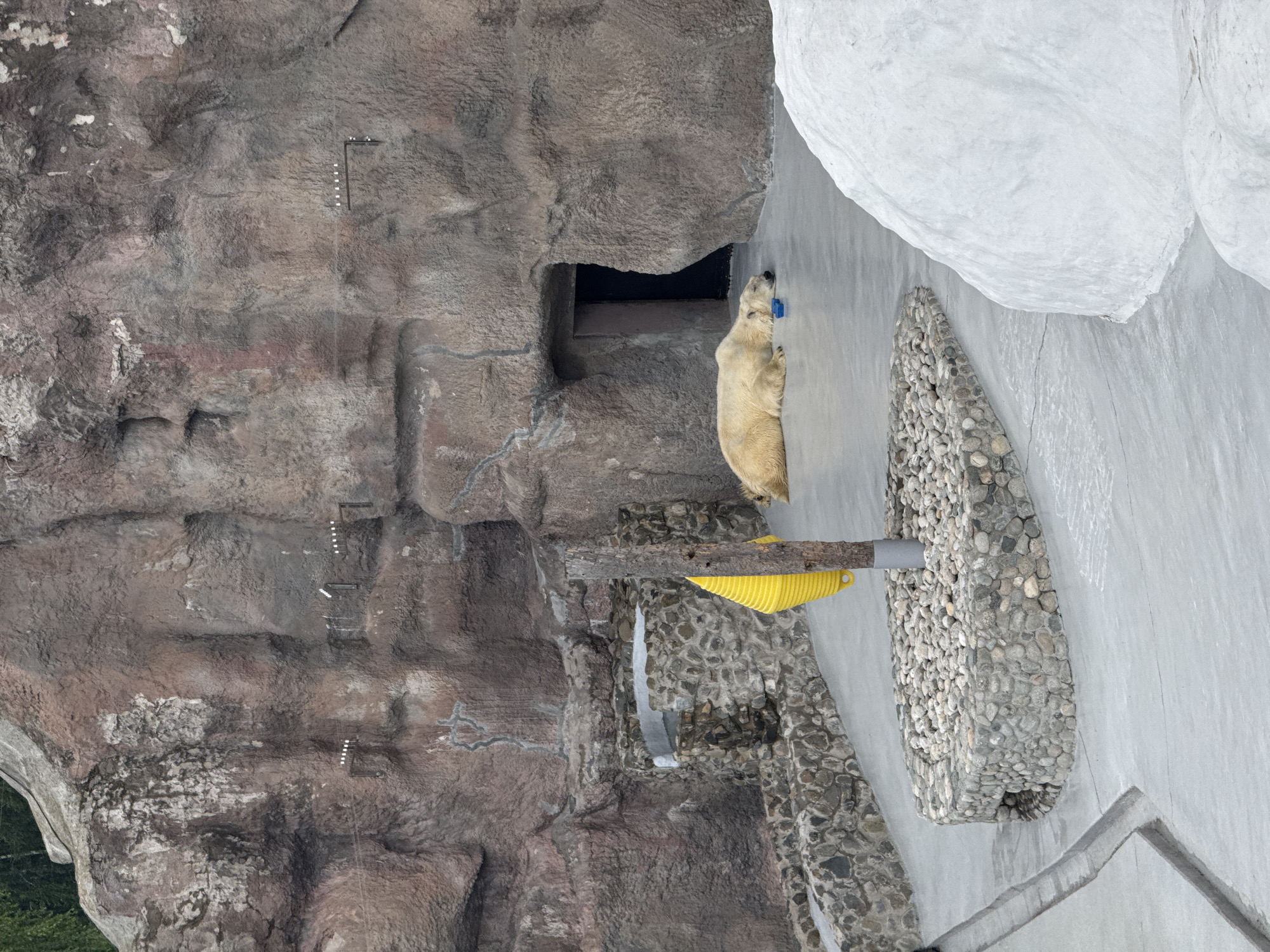 The image shows a polar bear resting on the floor of an enclosure at the Udmurt State Zoo in Izhevsk, Russia. The enclosure is designed to mimic a natural Arctic environment, with rocky walls, a cave-like entrance, and a large white structure that appears to be artificial snow or ice. A yellow cone-shaped object hangs from a wooden post near the center of the enclosure. The polar bear is lying on its side with its head resting on a small blue object. The enclosure is made of concrete and stone, with a drain system visible in the foreground. The overall scene depicts an animal exhibit within a zoo setting.