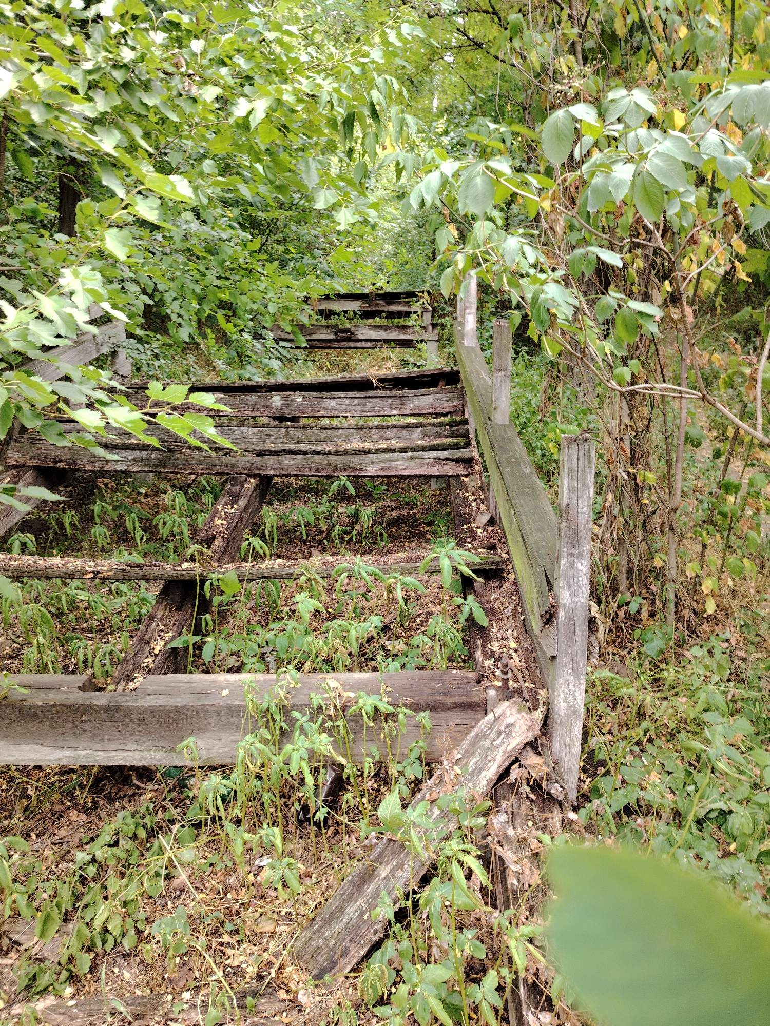 In Balyko-Shchuchynka, Ukraine, an abandoned wooden staircase, weathered and dilapidated, ascends a gentle incline. The steps are broken and uneven, with some sections missing entirely. A handrail, also made of wood, is partially intact, leaning precariously against the structure. Overgrown vegetation, including lush green plants and dry leaves, has reclaimed the area, encroaching on the staircase and its surroundings. The scene evokes a sense of decay and neglect, suggesting a place long forgotten.