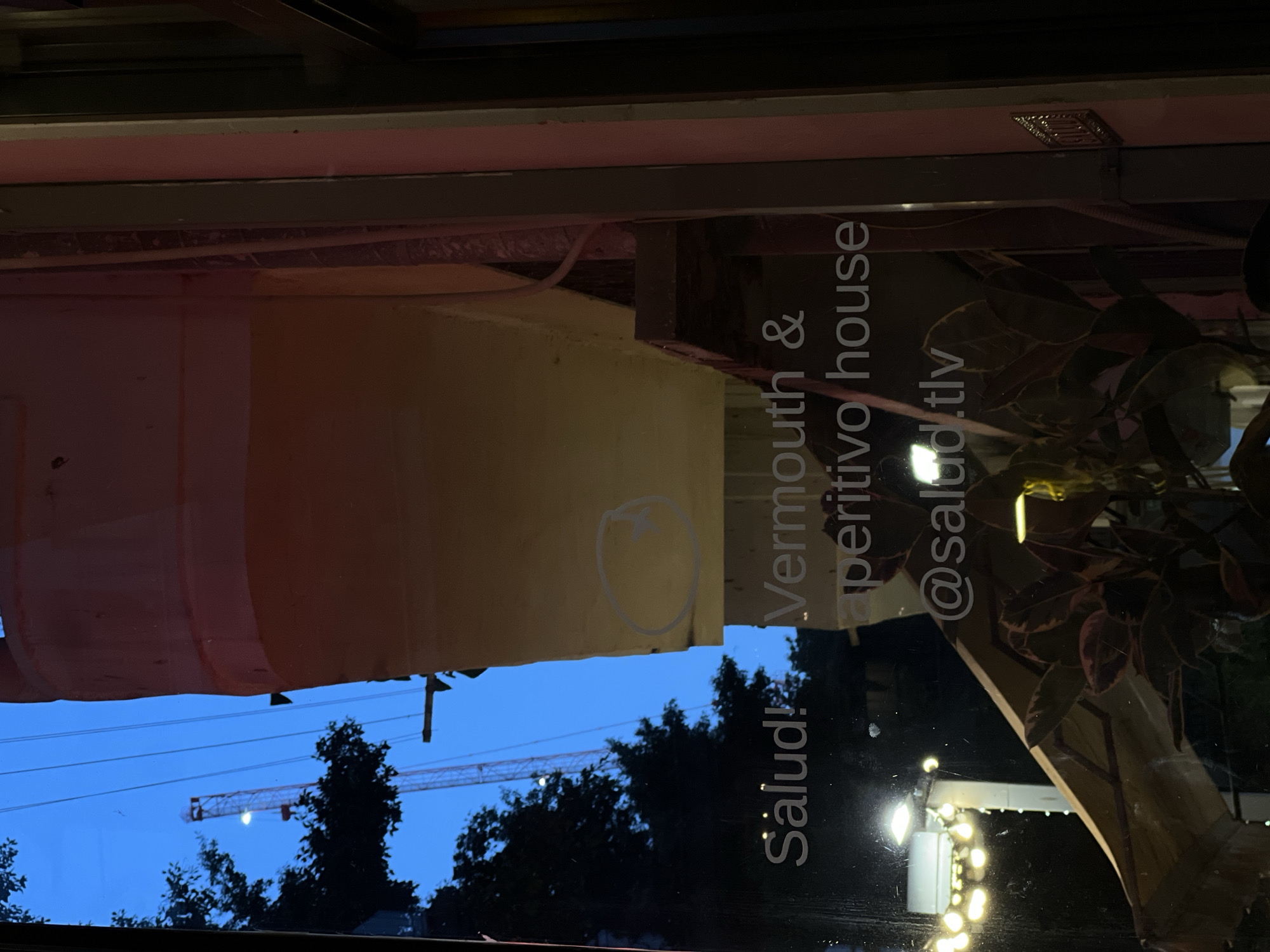 The image is a view from inside a building in Tel-Aviv, Israel, looking out through a window. The text "Salud! Vermouth & aperitivo house @salud.tlv" is written on the window. Outside, the sky is a deep blue, suggesting twilight or early evening. Silhouetted trees are visible, and a construction crane stands in the background. The light from the building reflects off of the window, and a string of lights can be seen in the foreground, and a house plant sits on a counter inside the building near the window. A portion of the building's ceiling is also visible at the top of the image.