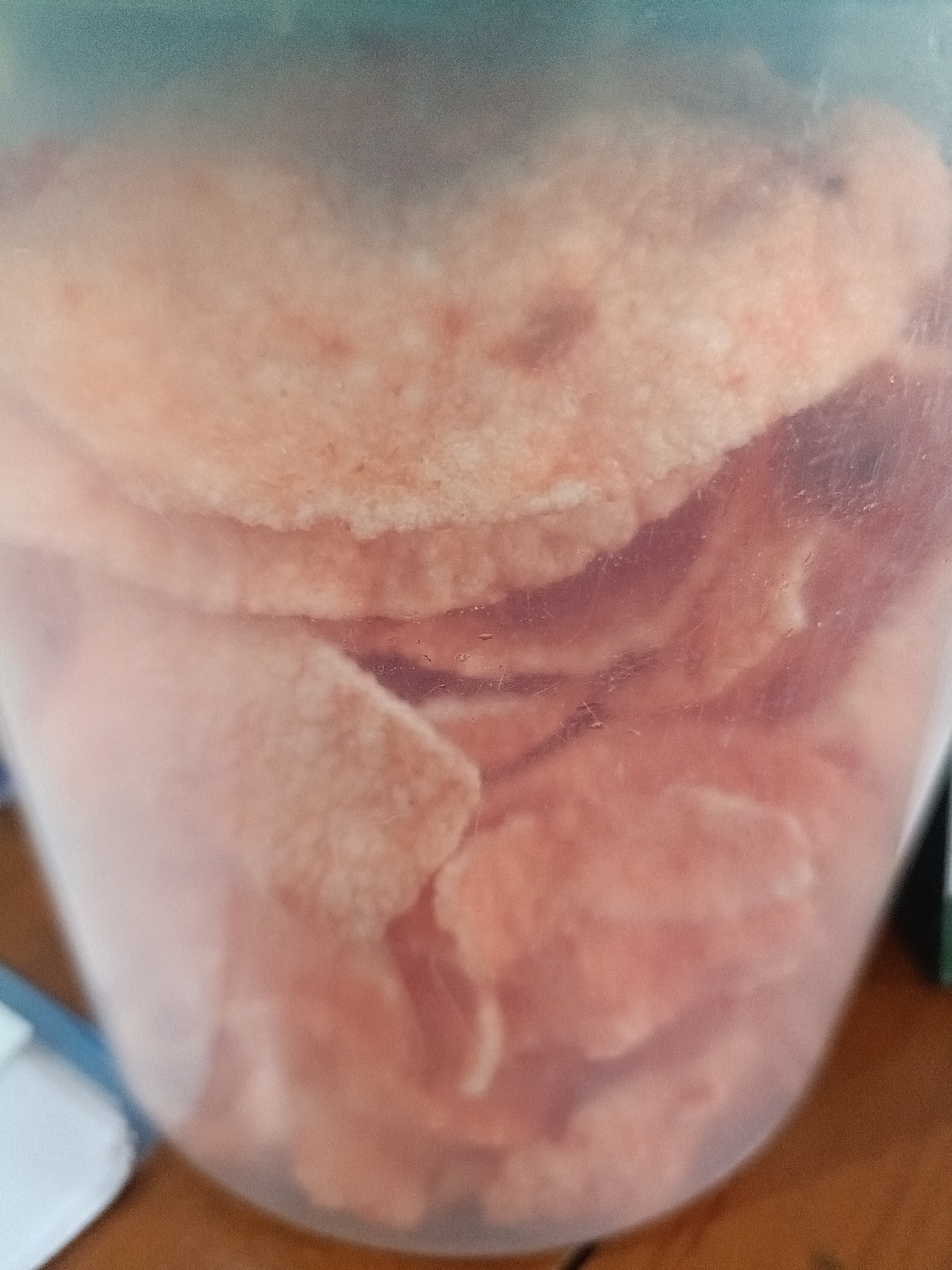 The image shows a close-up, slightly blurry view of a clear plastic container filled with a stack of circular, light orange crackers. The crackers appear to be thin and slightly irregular in shape. The container has a teal-colored lid, only partially visible at the top. The lighting is somewhat dim, casting a soft glow on the crackers and making the container appear translucent. The background is out of focus, but suggests a wooden surface below and a teal-colored blurry area above. There are no people or specific identifiable landmarks visible that would indicate a location in Kediri City, Indonesia.
