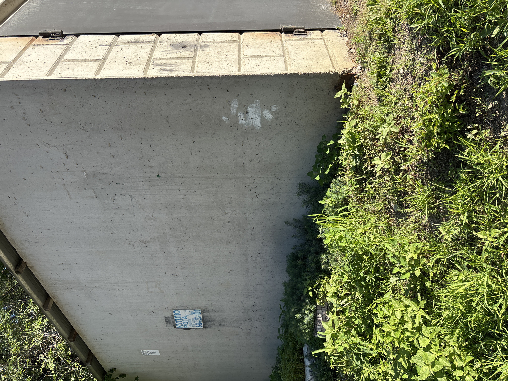 The image shows the exterior of a concrete structure with a metal door on the right side. The structure has a corrugated metal roof partially visible at the top. The concrete wall has some markings, including a blue sign with text and a drawing of a deer. There is also some white paint splattered on the wall. The base of the structure is surrounded by lush green vegetation, including grass and various plants. The scene appears to be outdoors, under natural sunlight, casting shadows. The overall impression is of an industrial or utilitarian building in an overgrown area. The location in Blagoveshchensk, Russia, is not explicitly discernible from the image itself, but the question prompts to assume this location. The image does not contain any people or explicit actions.