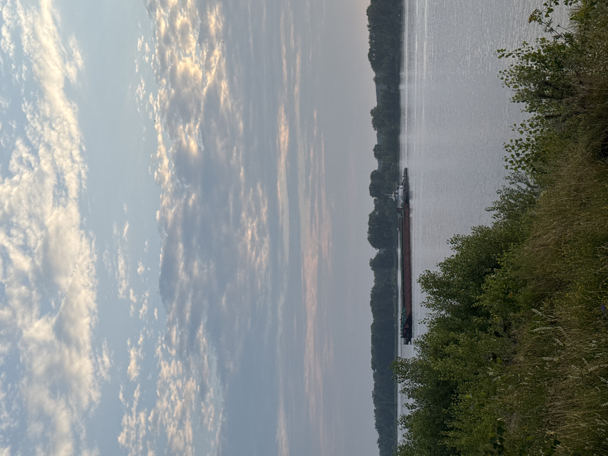 A wide, calm river stretches across the midground of the image, with a long barge being pushed by a tugboat. The barge is red and green. The river is bordered on the far bank by a dense line of trees, suggesting a natural landscape. In the foreground, a grassy embankment with tall, dry grasses and green leafy bushes leads down to the water. The sky above is a soft blue, filled with scattered, wispy clouds that are tinged with the warm glow of sunrise or sunset. The overall mood is peaceful and serene, typical of a natural setting outside of urban areas. This scene is consistent with the appearance of the Kama River in Chaikovsky, Russia, a city known for its riverfront and surrounding natural beauty.