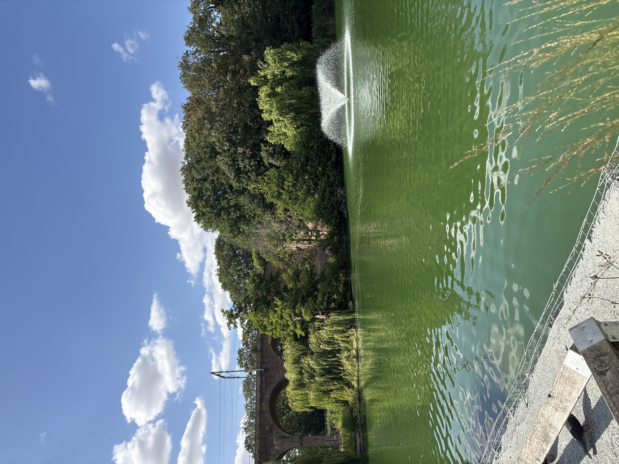 The image shows a scenic view of a pond with a fountain in the center, surrounded by lush green trees and a clear blue sky with white clouds. The pond's water is a vibrant green, reflecting the surrounding foliage. A notable feature of the scene is an old brick viaduct with multiple arches visible in the background, partially obscured by weeping willow trees. Power lines and a support pole are also visible near the viaduct. The foreground shows a gravel path with a white metal fence along the edge of the pond and some wooden structures. The time of day appears to be daytime, with bright sunlight casting reflections on the water and highlighting the greenery. The weather seems pleasant, with a sunny sky and fluffy clouds. The overall mood is peaceful and serene, typical of a park or natural setting. There is no visible text in the image.