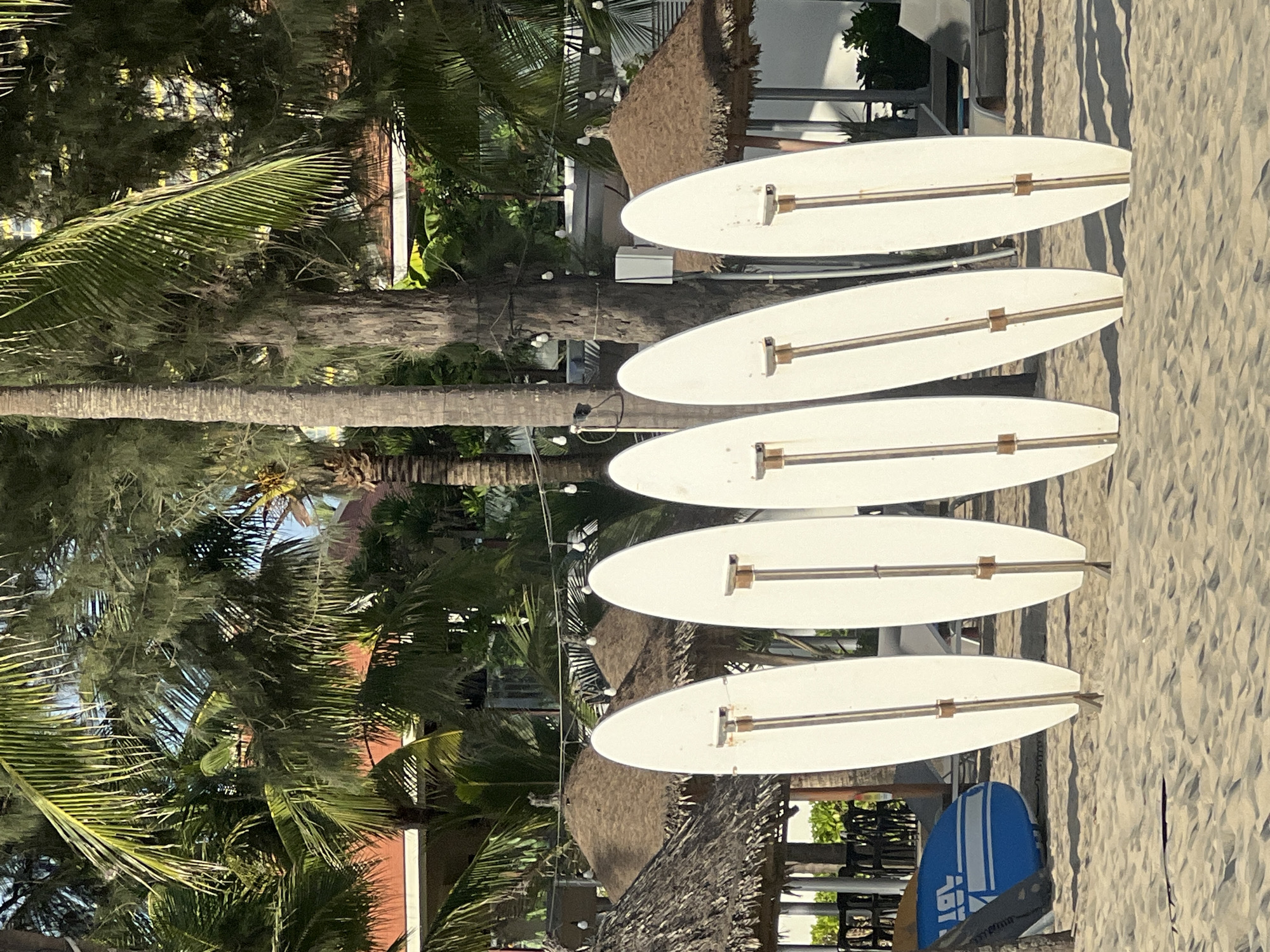 Five white surfboards are propped upright in the sand on a beach in Da Nang, Vietnam. The surfboards are lined up in a row, with the closest one in the foreground and the others receding into the background. Each surfboard has a dark stripe running down the center and appears to have some sort of hardware attached to the bottom. In the background, there are palm trees, thatched-roof umbrellas, lounge chairs, and buildings, suggesting a resort or hotel setting. A blue and white paddleboard is visible to the left of the surfboards. The scene is set on a sandy beach with the ocean likely out of frame to the right. The lighting suggests it is daytime, possibly late afternoon due to the shadows.