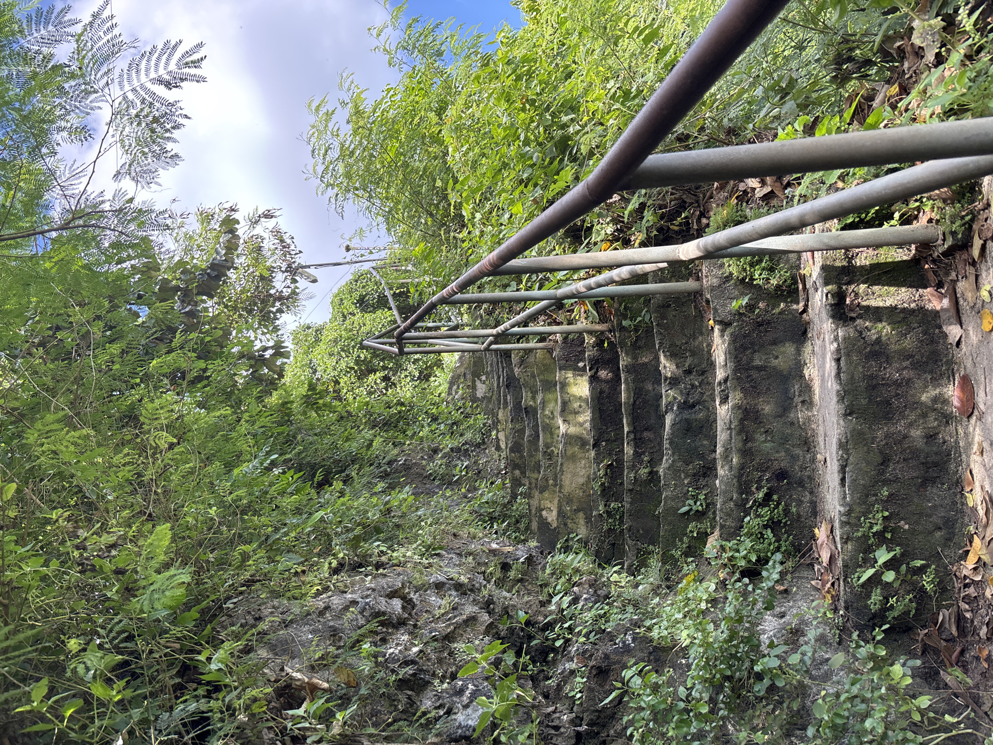 The image shows a set of weathered concrete stairs with a metal railing descending amidst lush green vegetation in Uluwatu, Indonesia. The stairs are stained and partially covered in moss, indicating age and exposure to the elements. The railing is made of metal pipes and shows signs of rust. The surrounding environment is dense with various types of plants, including ferns, shrubs, and trees. The sky is visible through the foliage and features patches of blue and white clouds. The area beneath the stairs is rocky, with small plants growing among the rocks. A utility pole and wire are barely visible in the background.