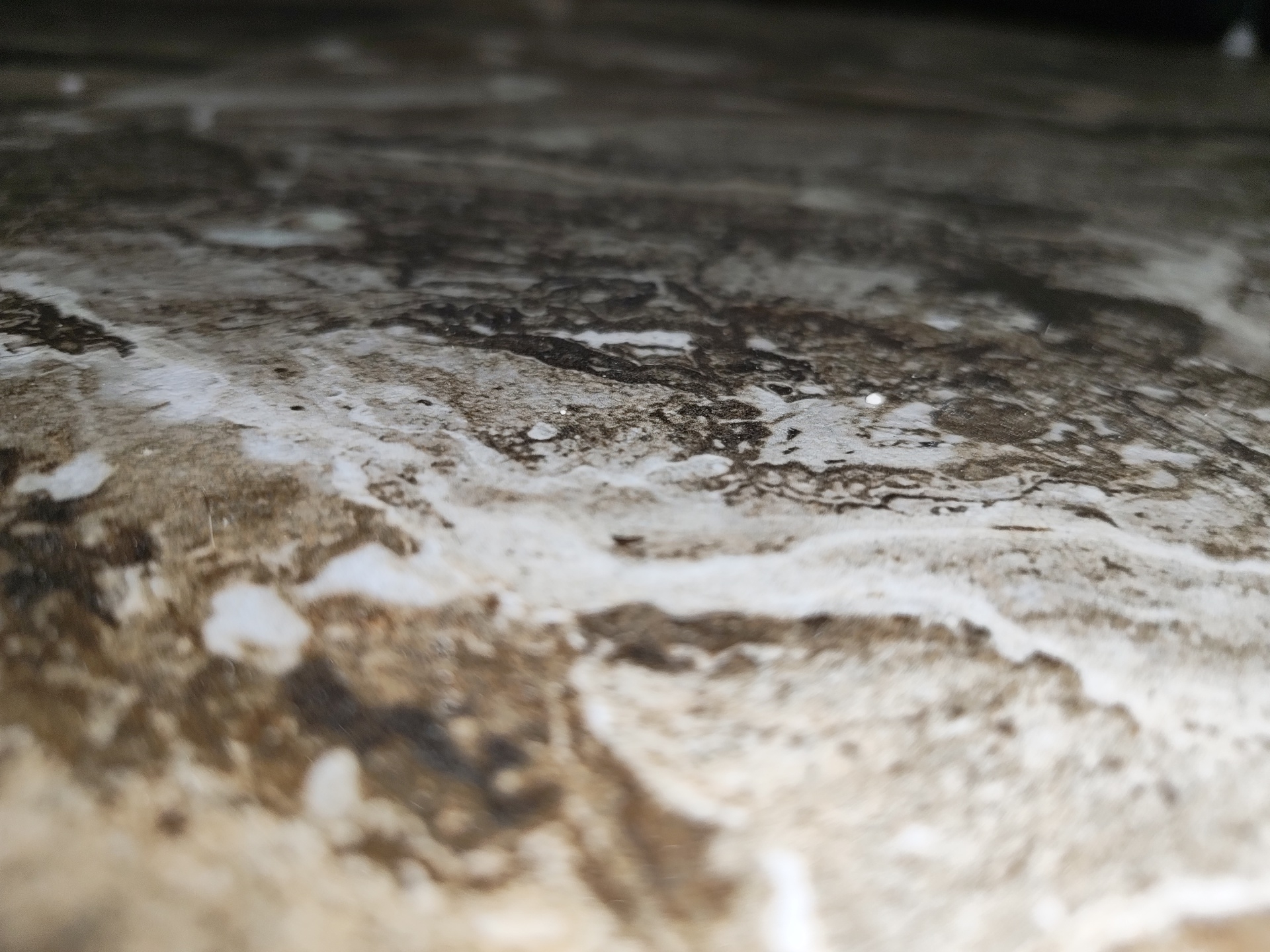 The image displays a low-angle, close-up view of a horizontal surface, characterized by a highly textured and mottled appearance. The primary elements are irregular patterns of dark brown to black material contrasting with areas of white and light grey. These patterns exhibit organic, branching, and swirling formations, indicative of accumulated residue, mineral deposits, or dried substances. The surface texture appears varied, with some regions exhibiting a slightly reflective sheen, particularly within the darker areas where small, bright specular highlights are visible. Other sections appear more matte or granular. The focal plane is set in the middle ground, resulting in a distinct blur in both the immediate foreground and the distant background. No individuals, identifiable manufactured objects other than the surface itself, or specific environmental landmarks are present within the frame. The scene is situated in Il’inskiy, Russia.
